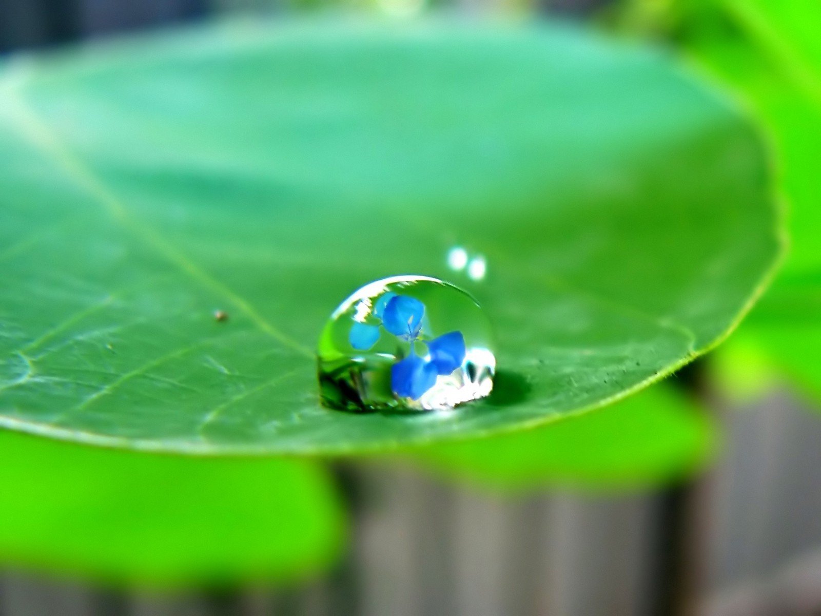 Фото капельки воды