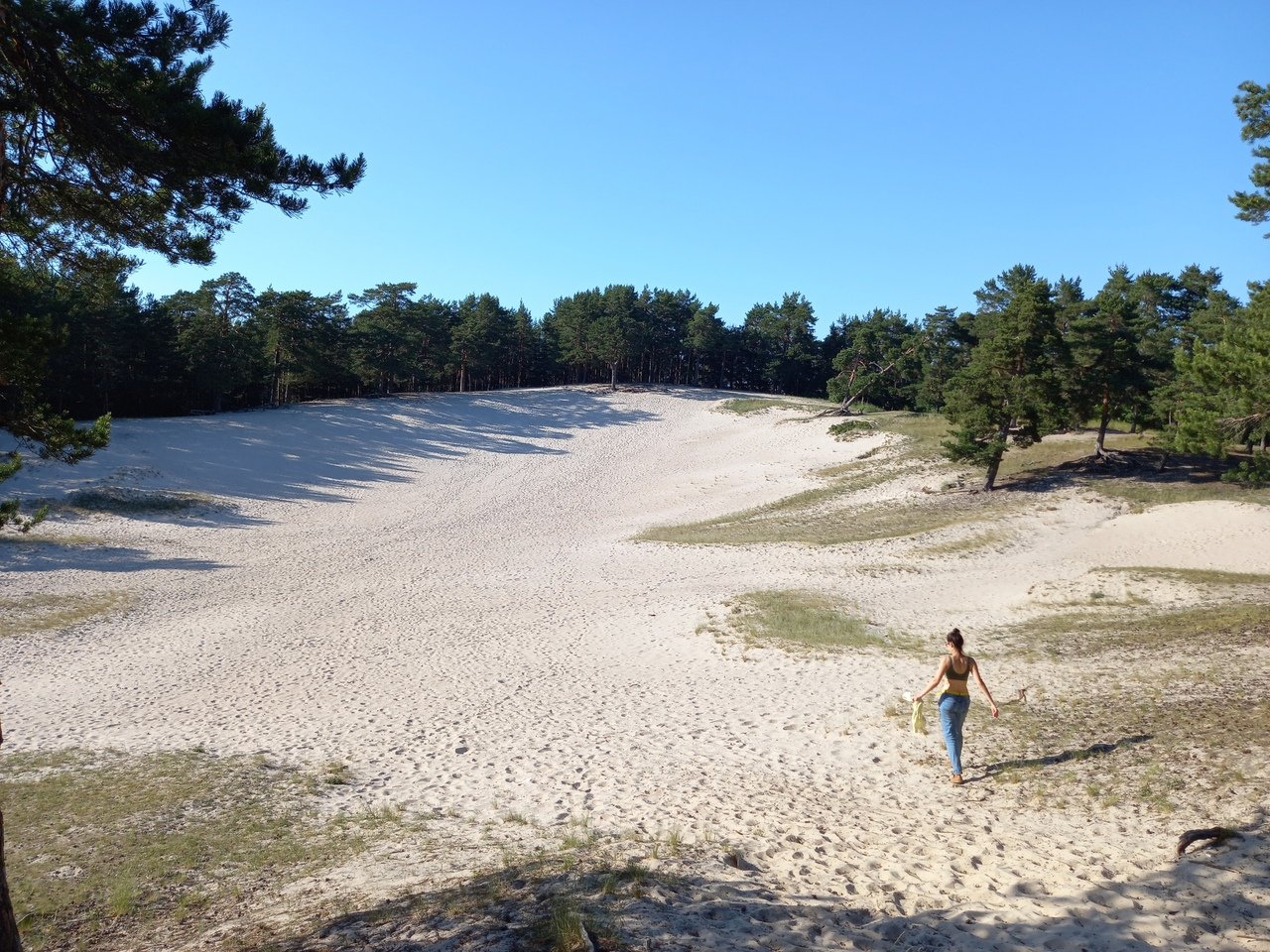 парк белые пески сосновый бор