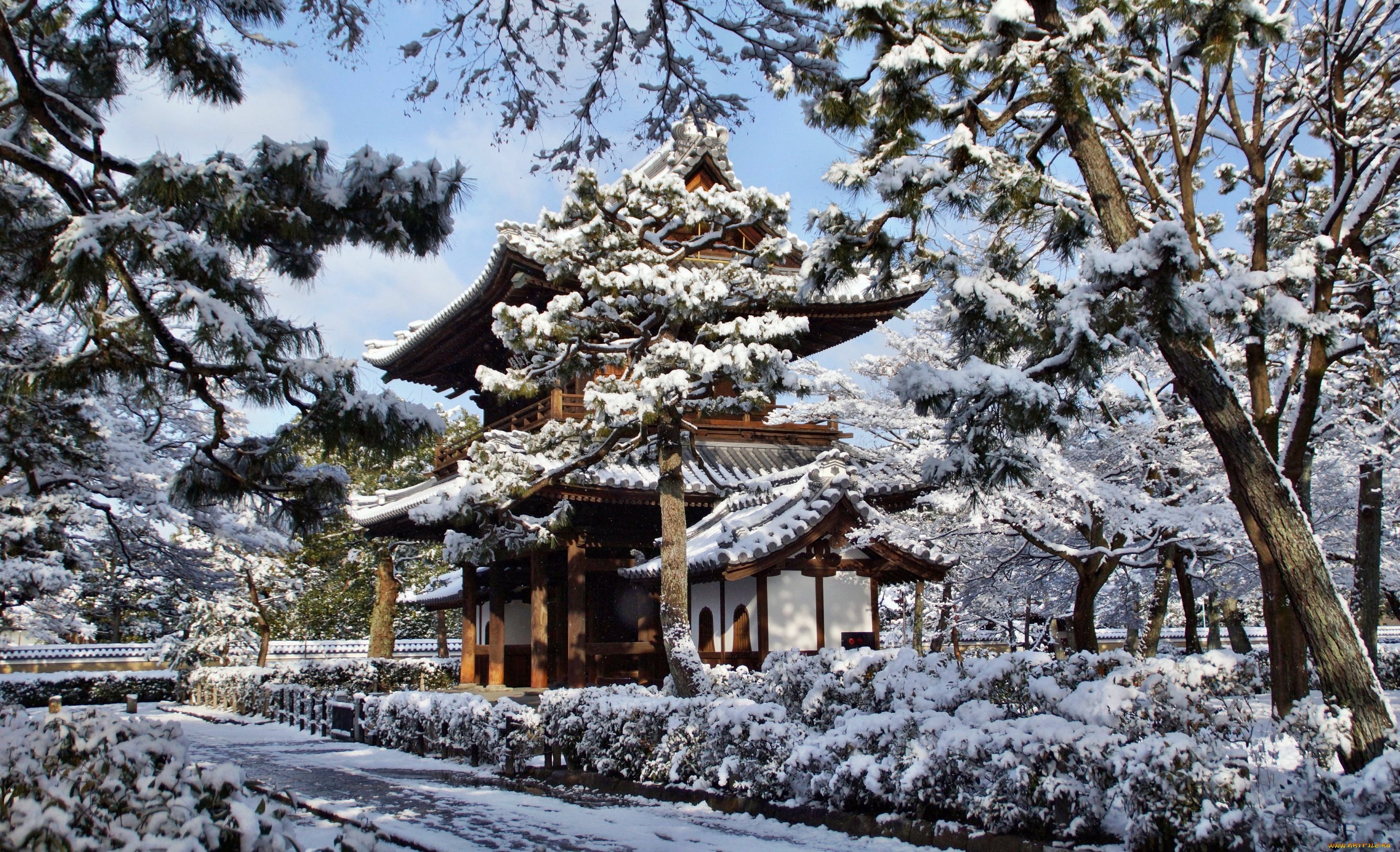 Японский сад зимой