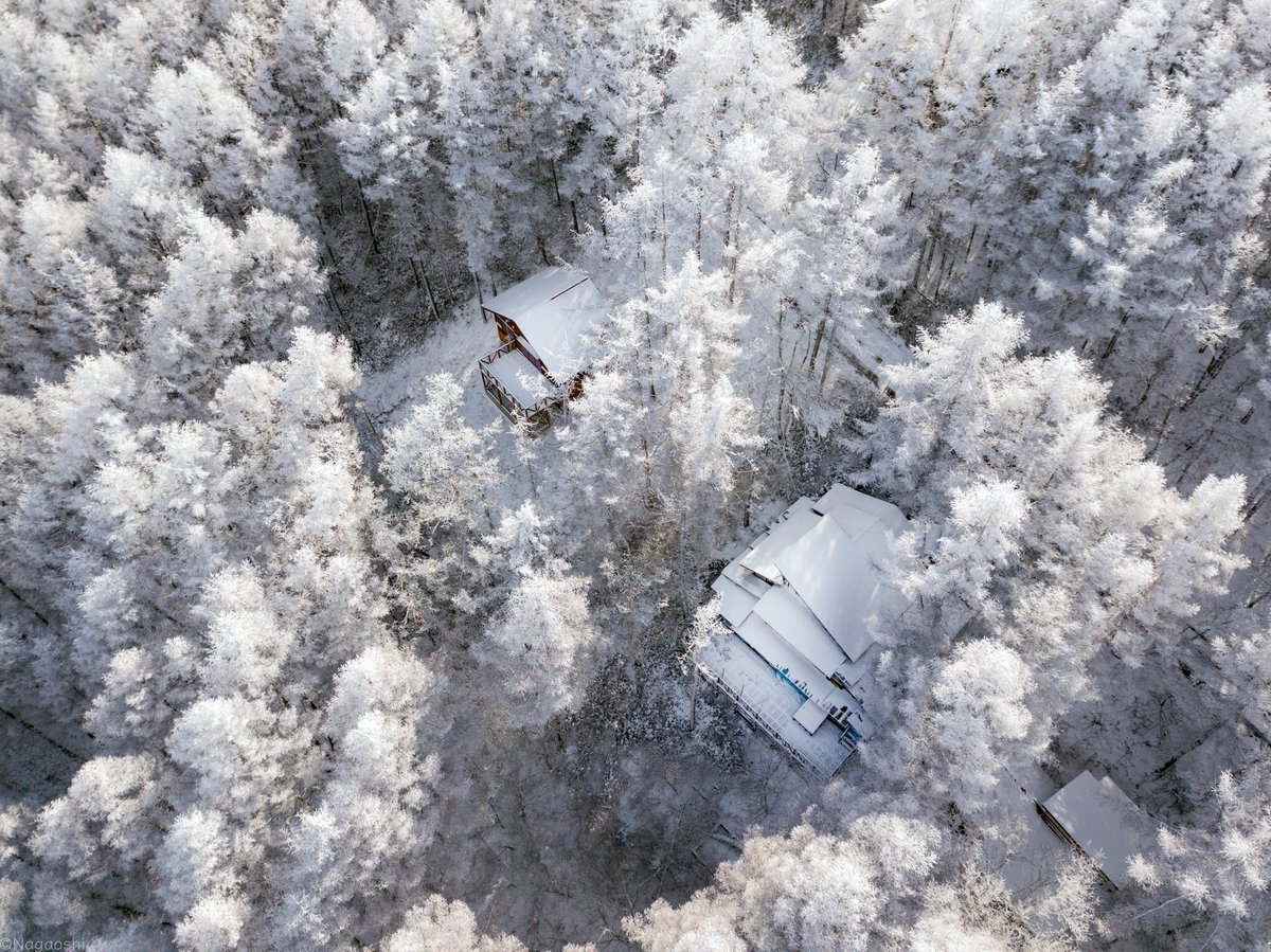 Снежное чудо. Япония самые снежные. Сказочно красивая зима в Японии. Снежная Страна (Япония). Япония Снежная Страна фото.