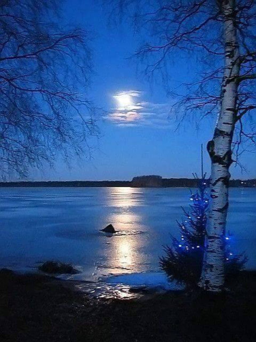 Тихий вечер вечер сине. Ночной пейзаж. Река ночью. Ночное озеро.