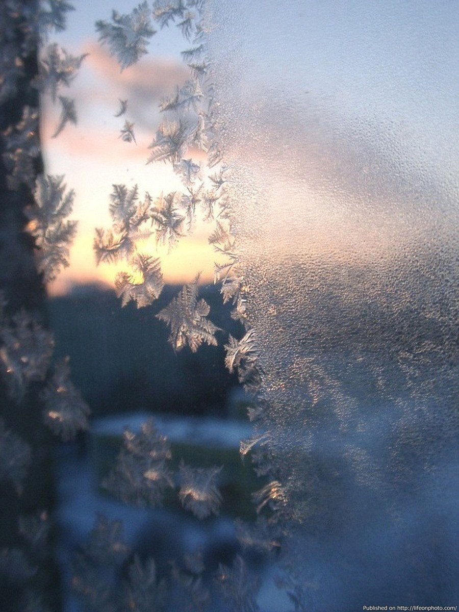 Свежий морозный воздух. Морозное окно. Мороз на стекле. Морозные узоры. Мороз на окне.