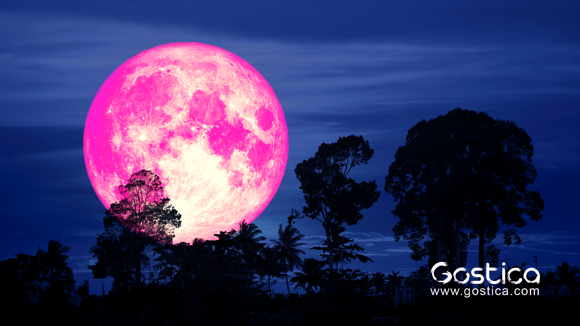 Одинокая луна розовая