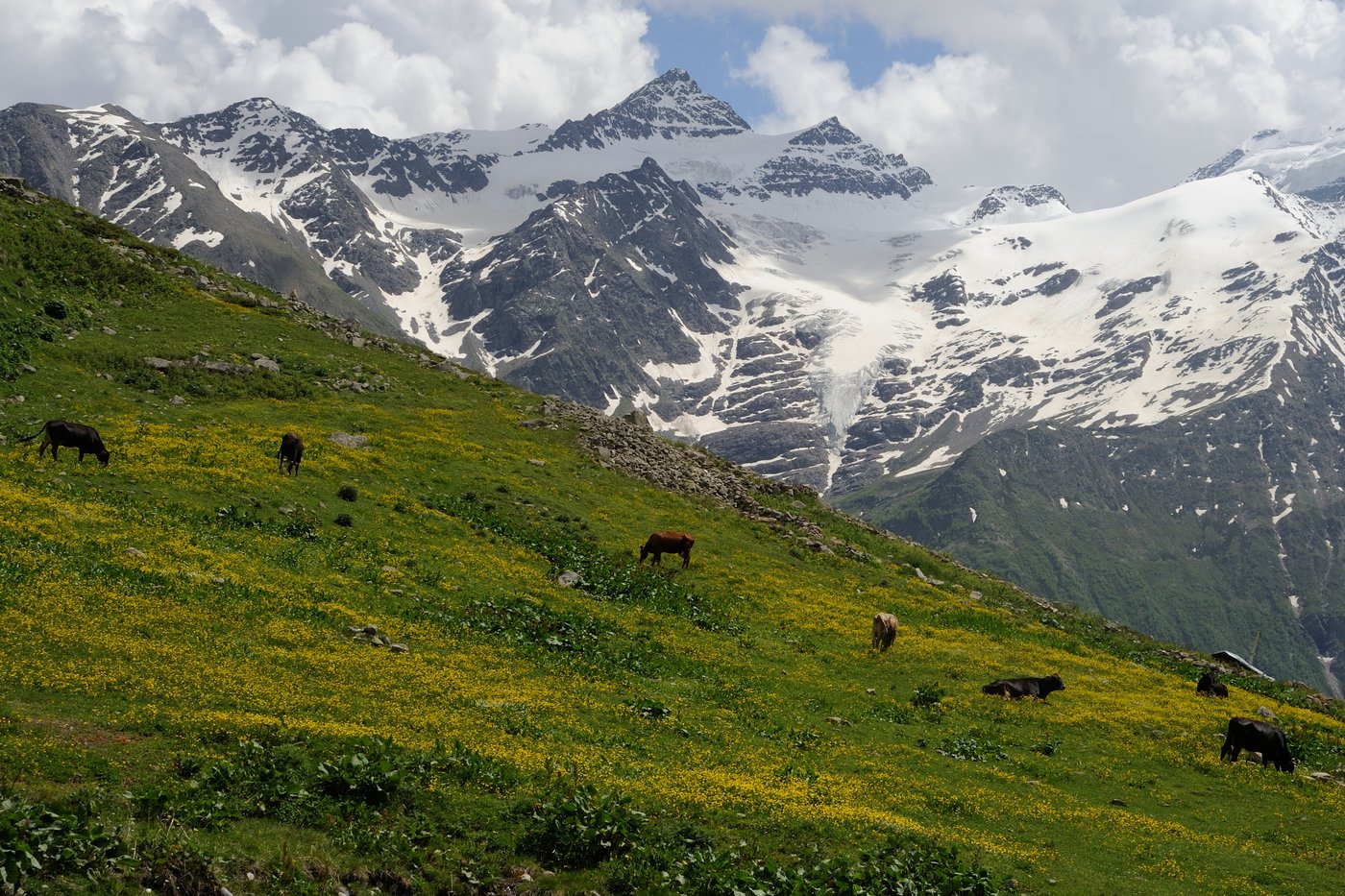 Caucasus. Горы Северного Кавказа. Северный Кавказ и Кавказ. Орбан кавказские горы. Северные кавказские горы.