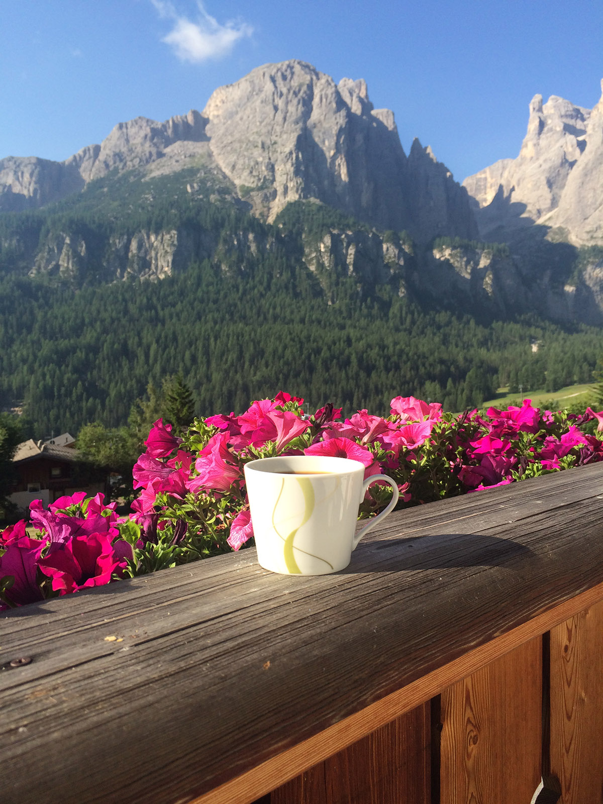 Прекрасного дня с природой. Красивый вид на горы. Доброе утро горы. Кофе с видом на горы. Доброе летнее утро в горах.