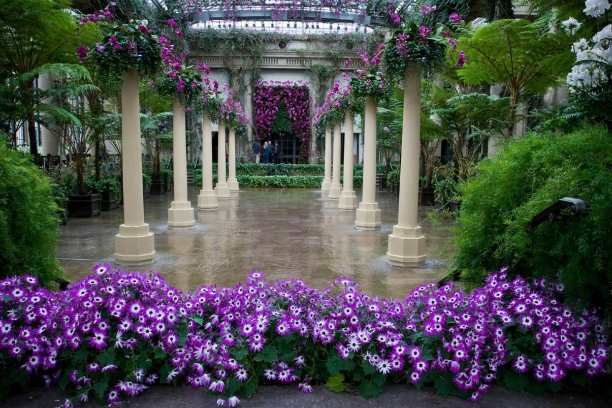 Garden of dreams. Оранжерея Лонгвуд Гарденс. Сады Дюпона Филадельфия. Парк древнего Рима цветники фонтаны. Сад Кавати Фудзи.