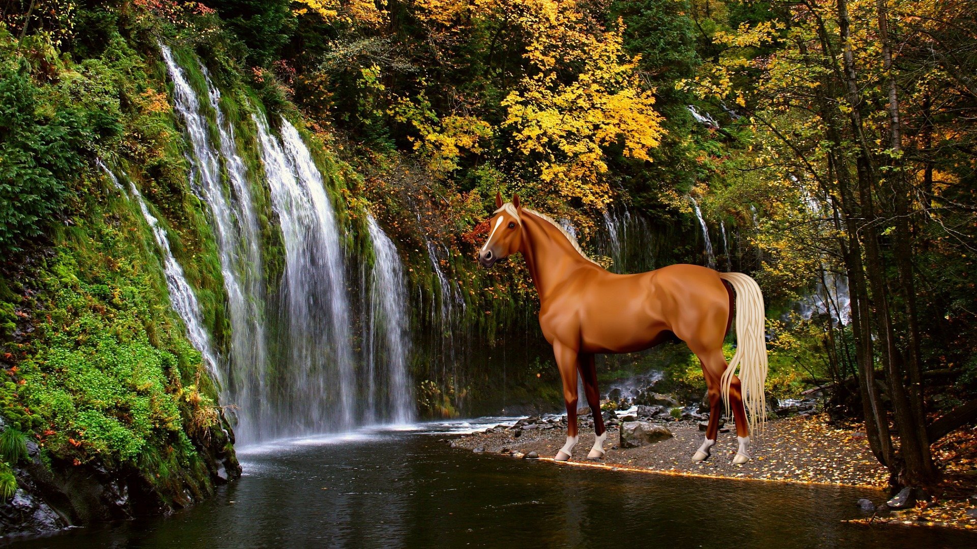 Красивые лошадки. | ВКонтакте