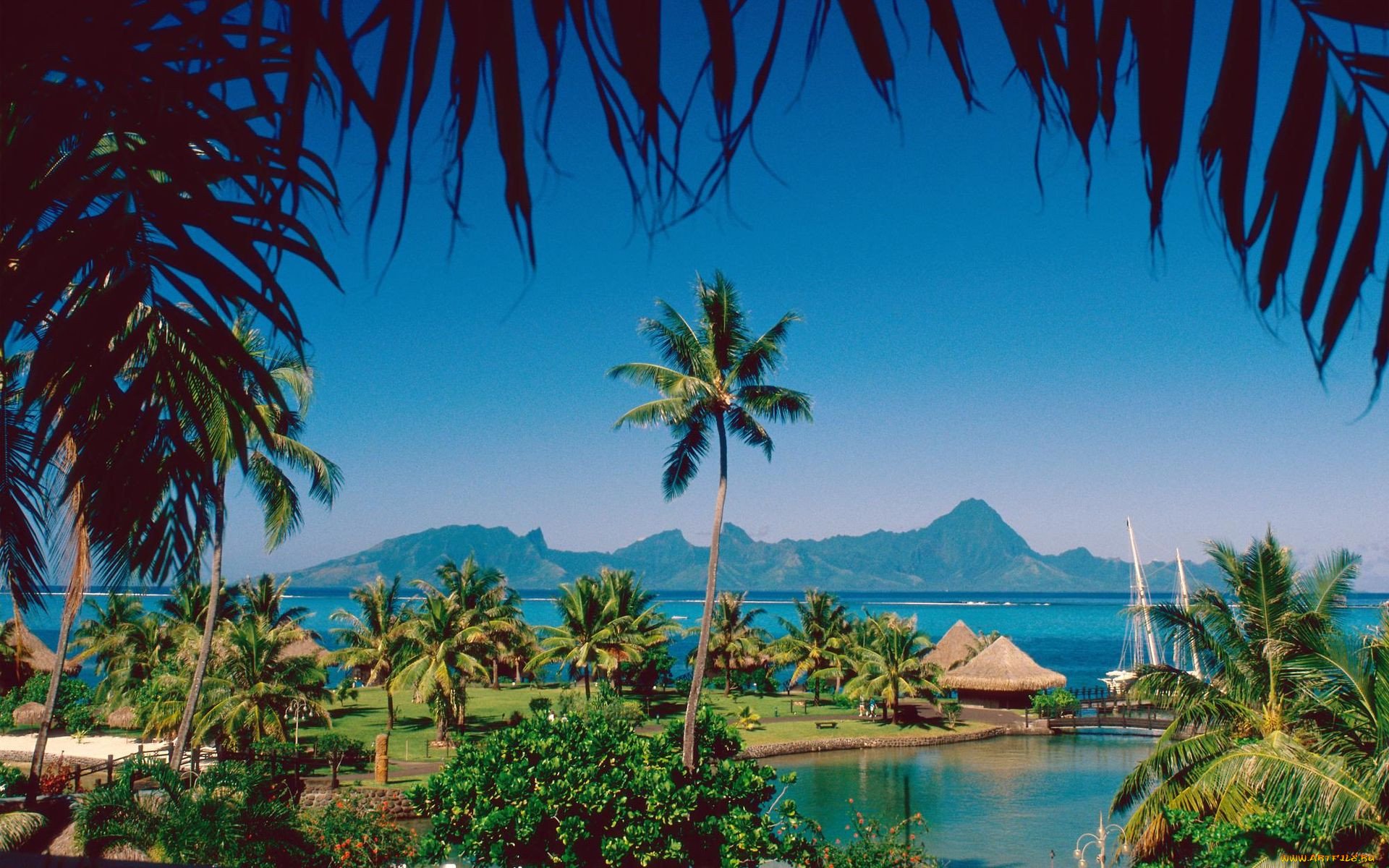 Остров обои айфон. Таити. Остров Таити. Остров Муреа. Остров Таити климат.