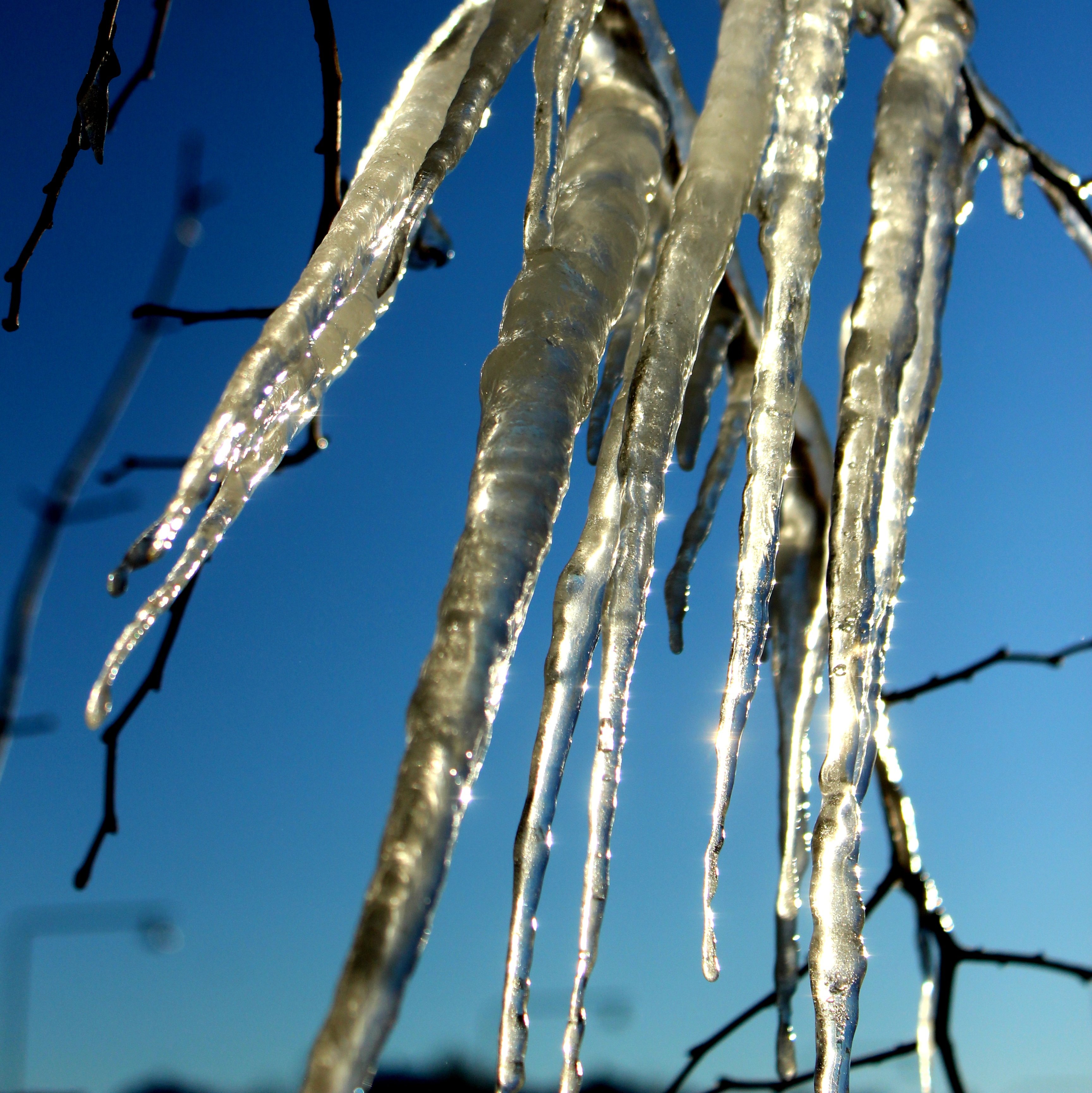 Березки лед. Длинные сосульки. Деревья во льду. Весенняя капель. Лед на ветках деревьев.