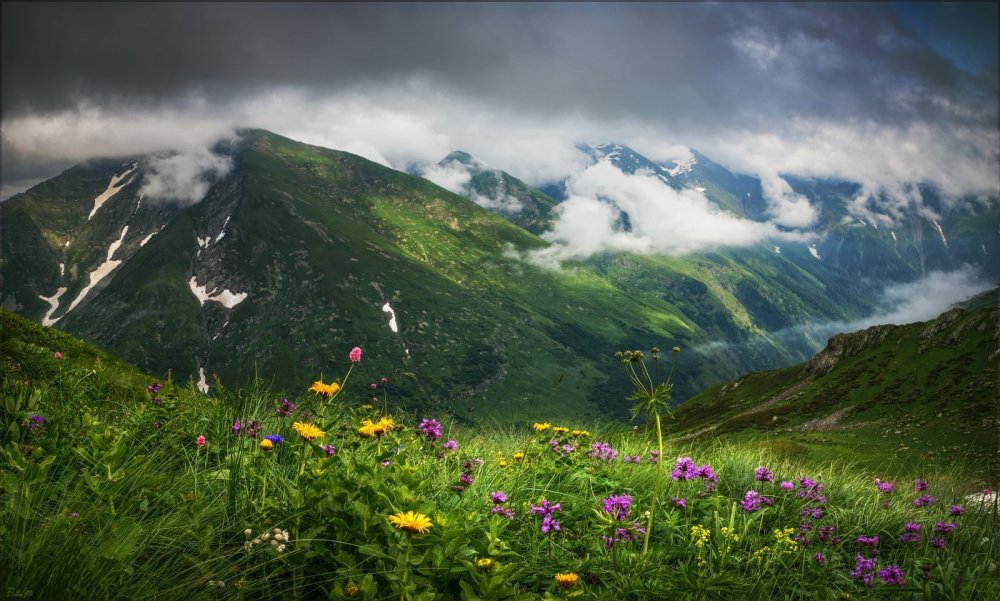 Альпийские Луга Северной Осетии