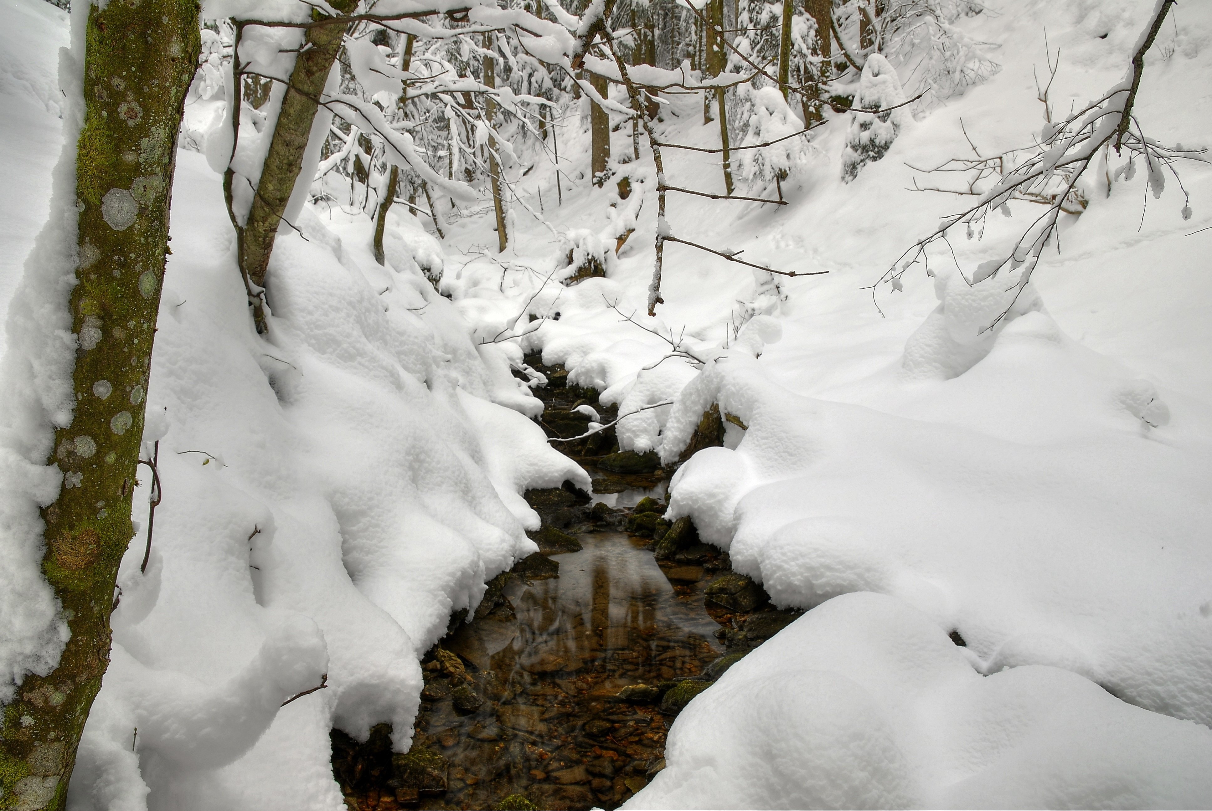 Сильное таяние снега. Ручьи весной. Зимний ручей в лесу. Ручей зимой в лесу.
