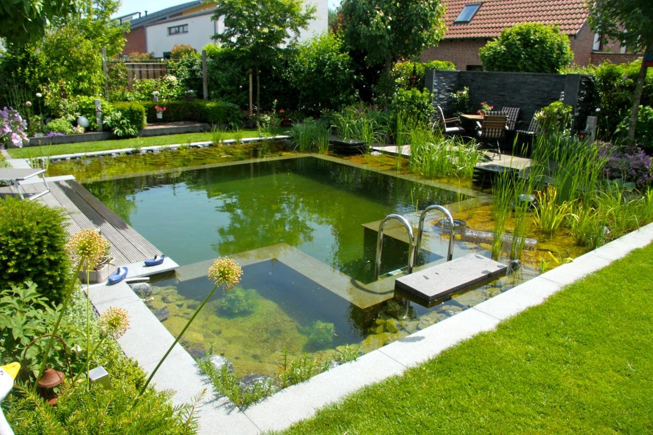 Бассейн пруд озеро. Пруд в саду с биоплато. Пруд для купания с биоплато. Бассейн с биоплато. Эко пруд с биоплато.