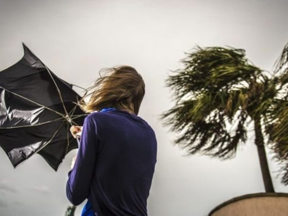 Lost umbrella перевод. Сильный ветер. Сильный ветер и зонт. Порывистый ветер. Усиление ветра.