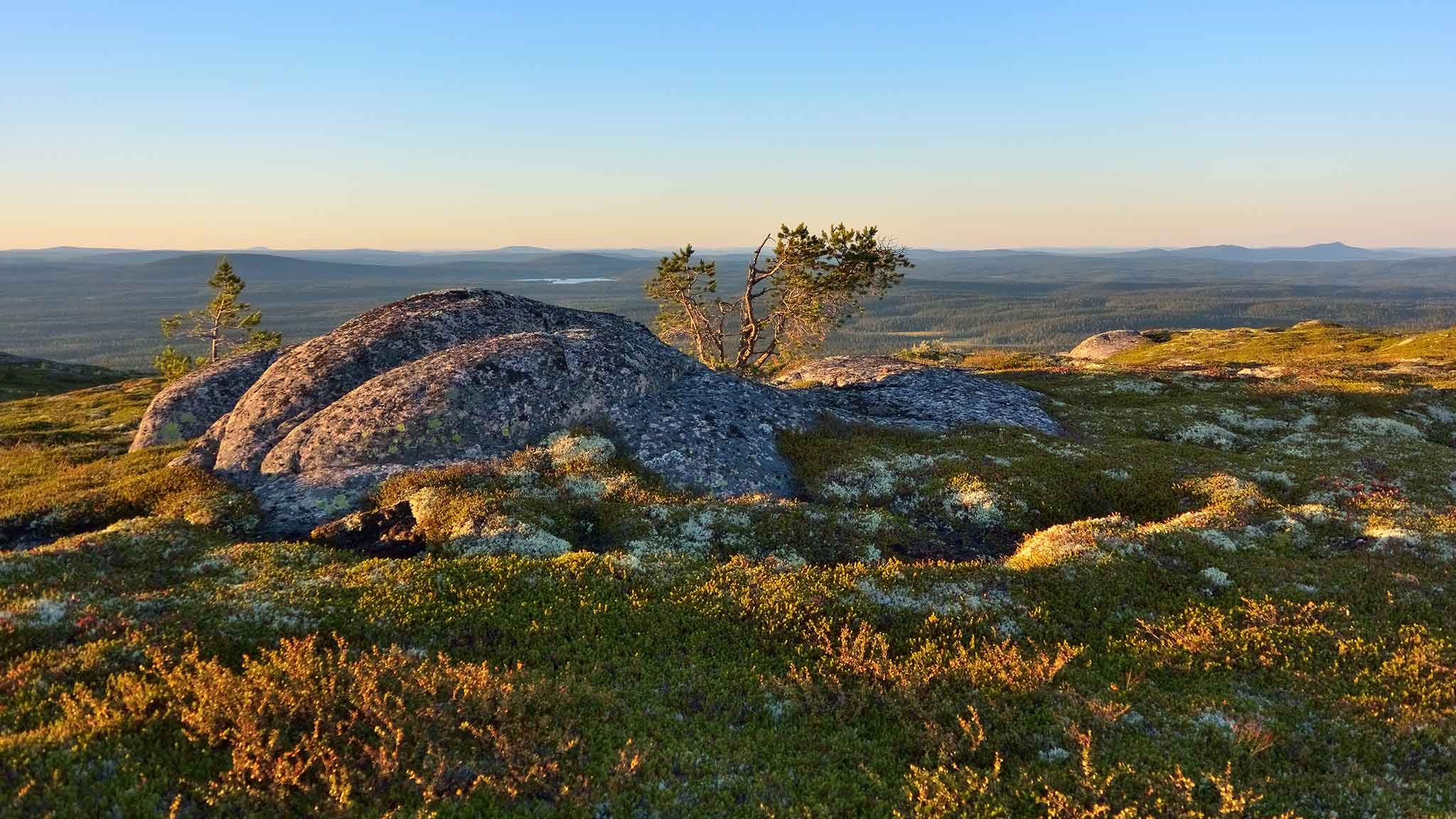 Паанаярви гора Нуорунен