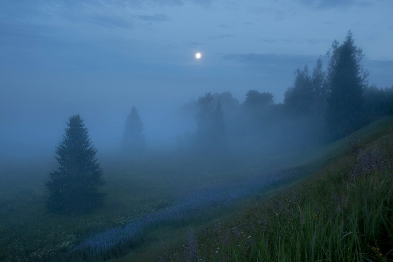 Туман бывает вечером. Туманный пейзаж. Туман ночью. Месяц в тумане. Густой туман ночью.