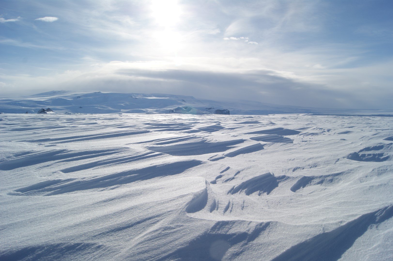 В тундре много снега. Бухта Коммонвелс в Антарктиде. Равнина Шмидта в Антарктиде. Арктическая пустыня Таймыр. Тундра в Антарктиде.