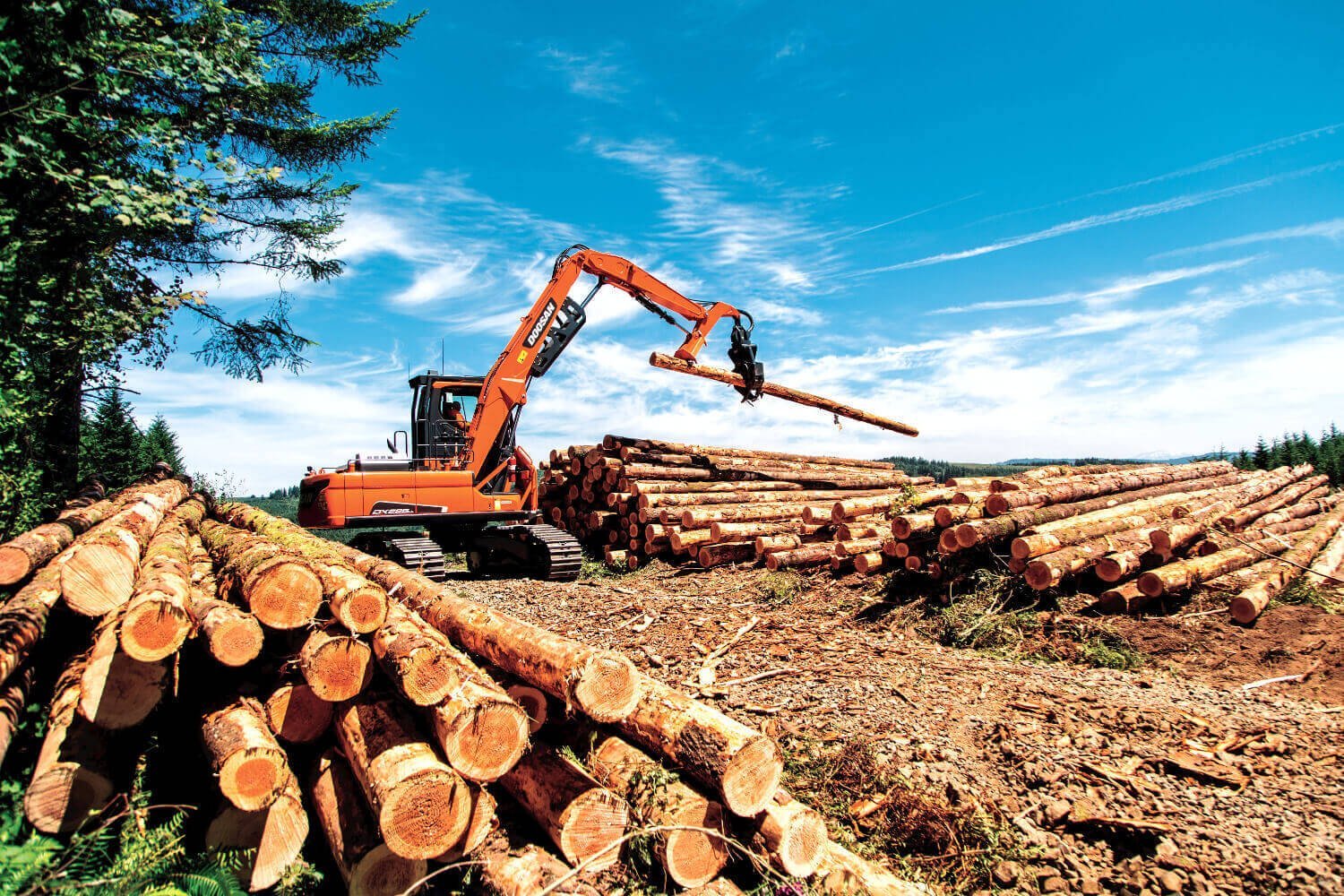 Экономика в лесной отрасли. Лесопромышленный комплекс заготовка леса. Лесозаготовительная отрасль Лесной промышленности. Чунский ЛПК вывозка леса. Лесная и деревообрабатывающая промышленность.