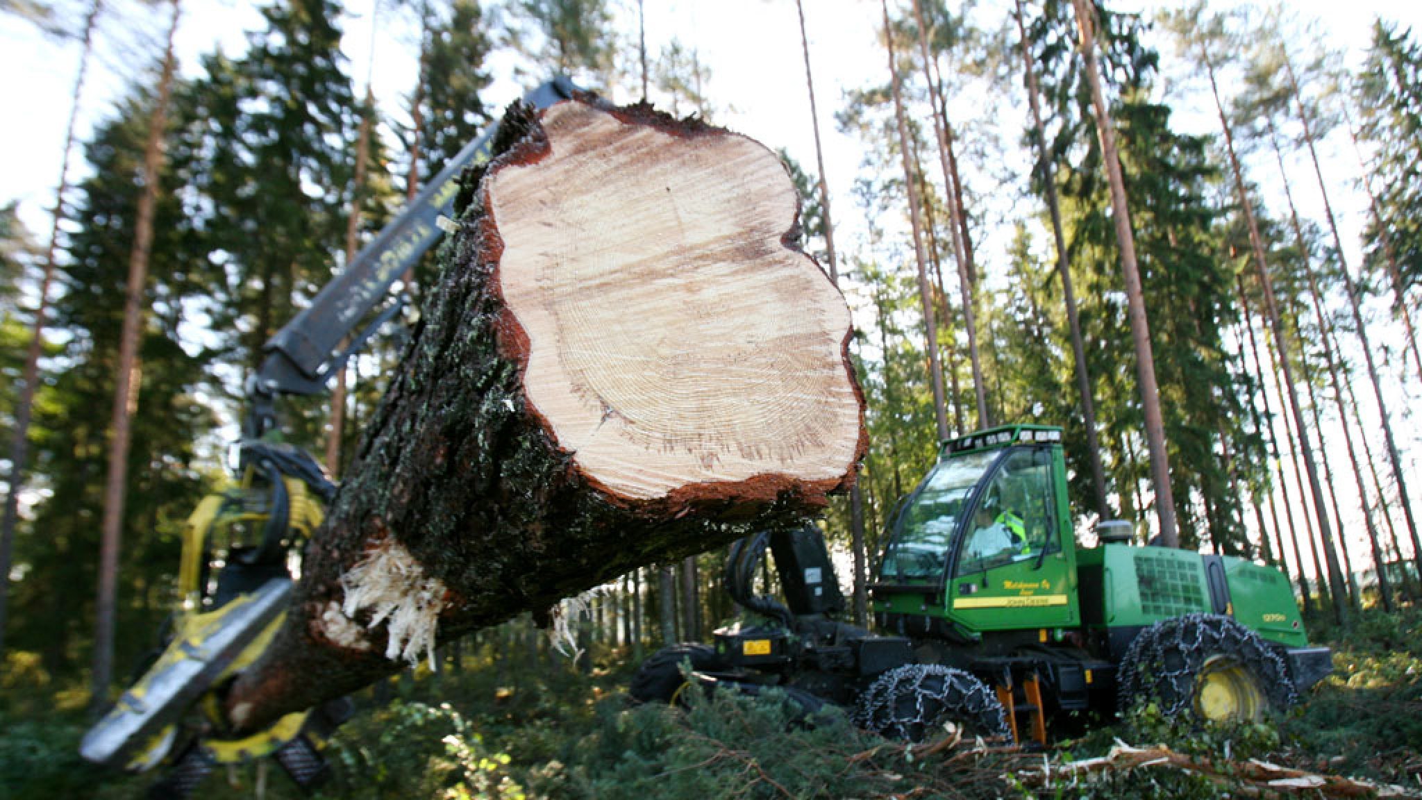 Экономика в лесной отрасли. Лесное хозяйство Швеции. Лесная промышленность Швеции. Лесопромышленность дальнего Востока. Лесозаготовительная отрасль Лесной промышленности.