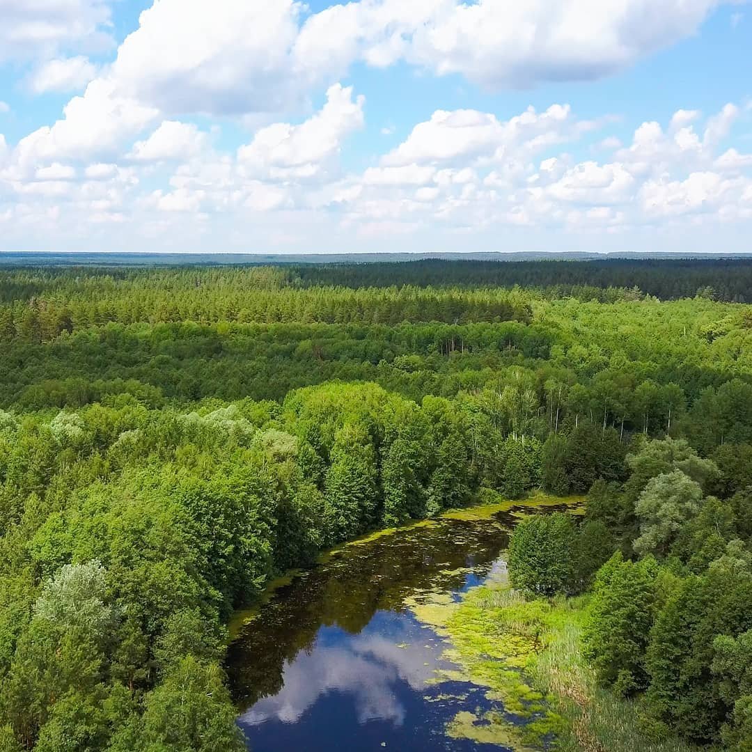 национальный парк бузулукский бор