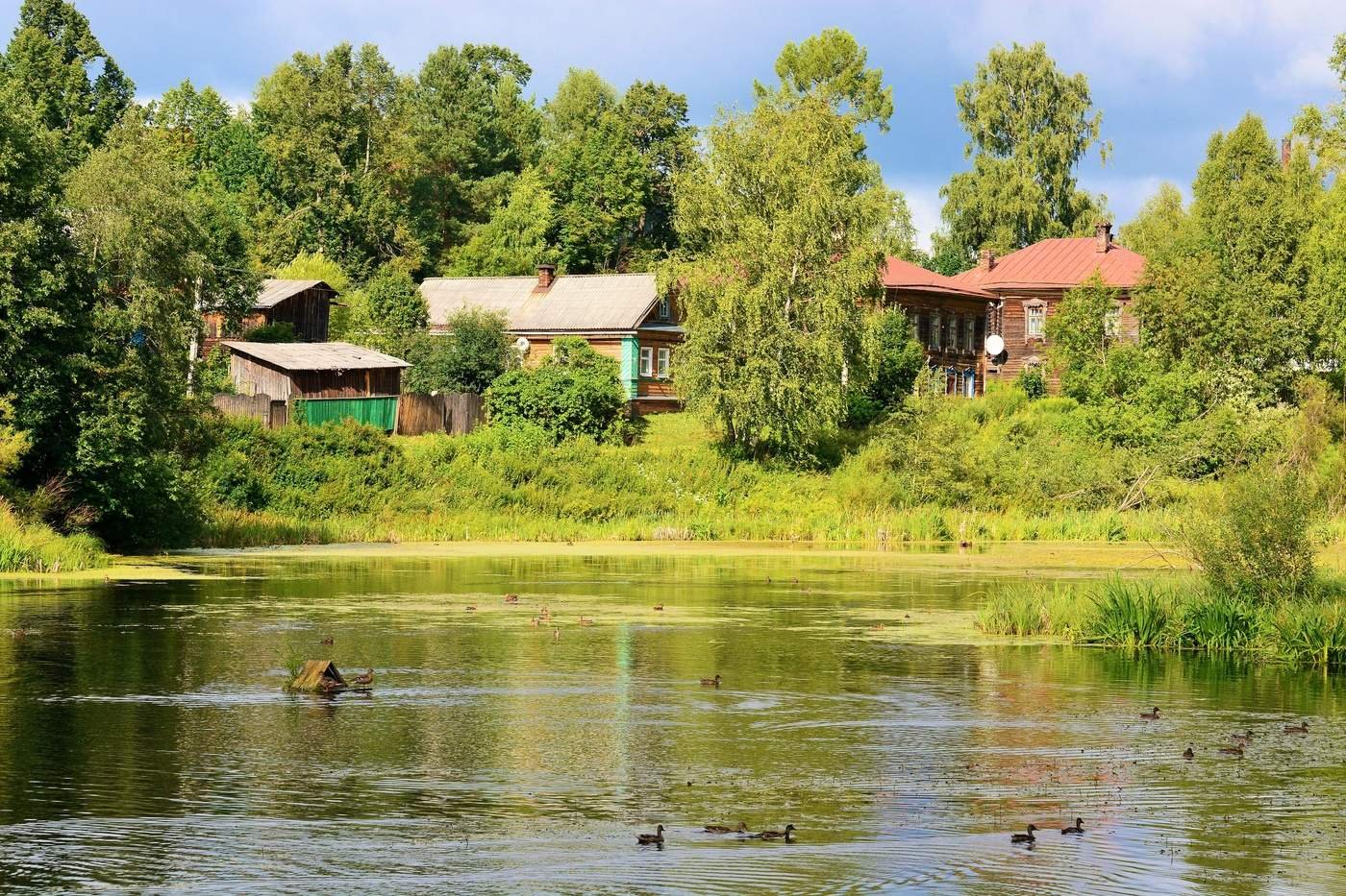 Фото пруда в деревне