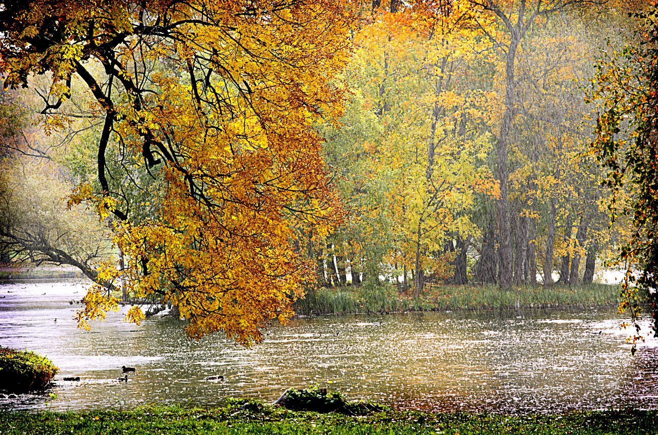 Природа пошла. Дождливая осень. Осень дождь. Красивая дождливая осень. Октябрь природа дождь.