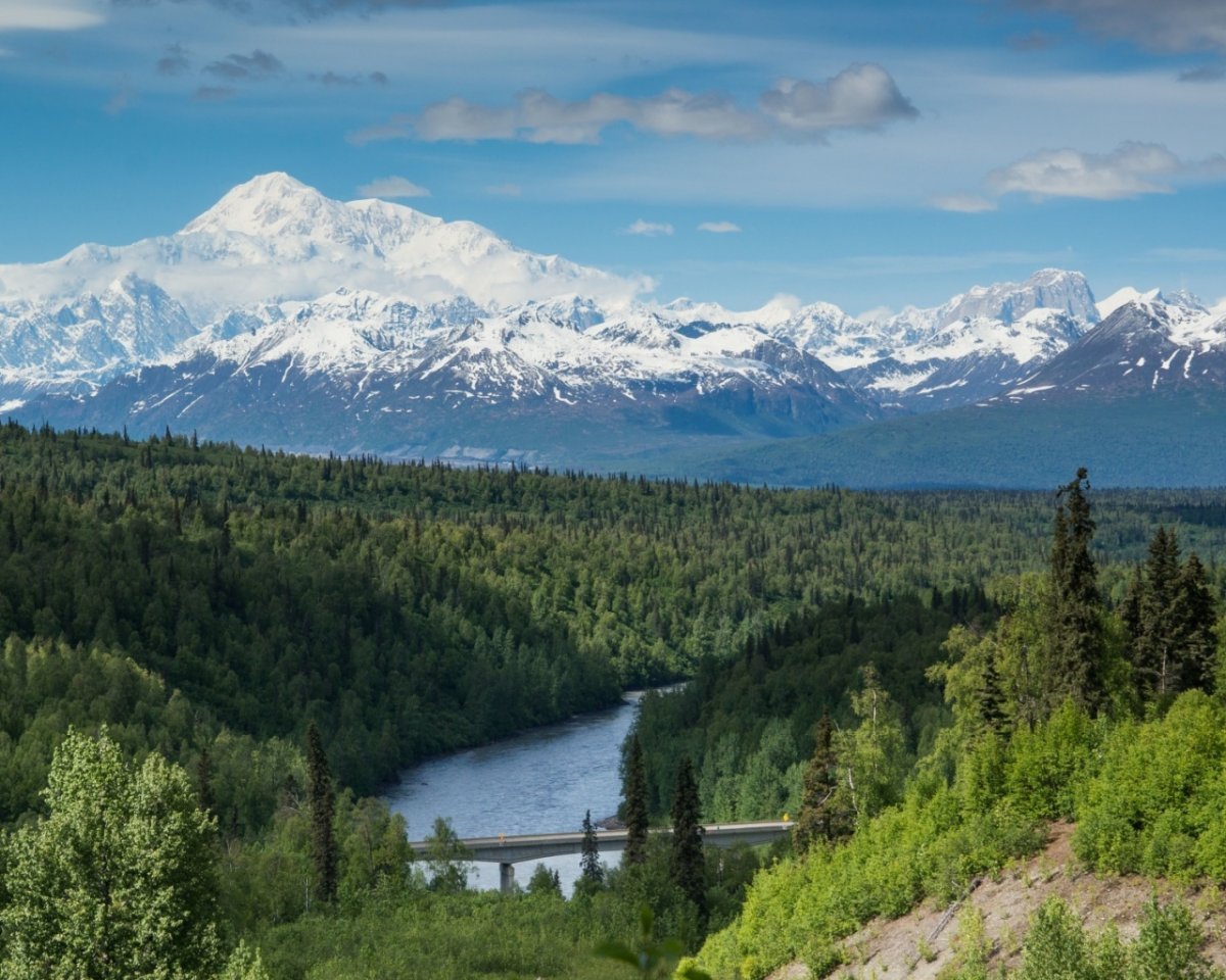 Сколистяе горы Северной Америк