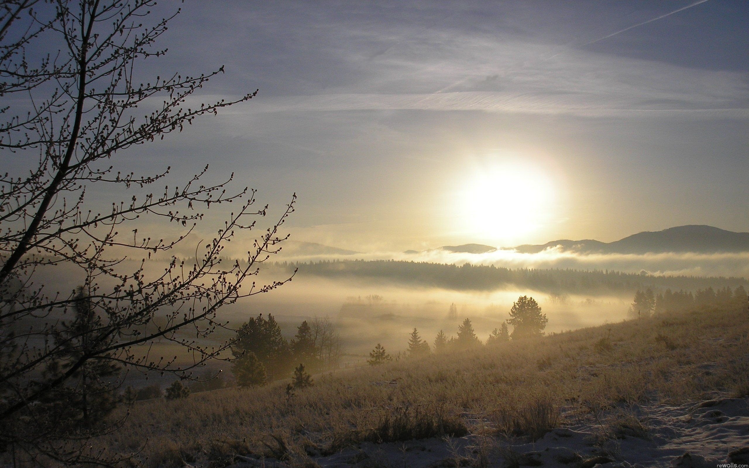 Спокойно ранним утром в глухом. Утренний рассвет. Туманный пейзаж. Солнце в тумане. Пейзаж в дымке.