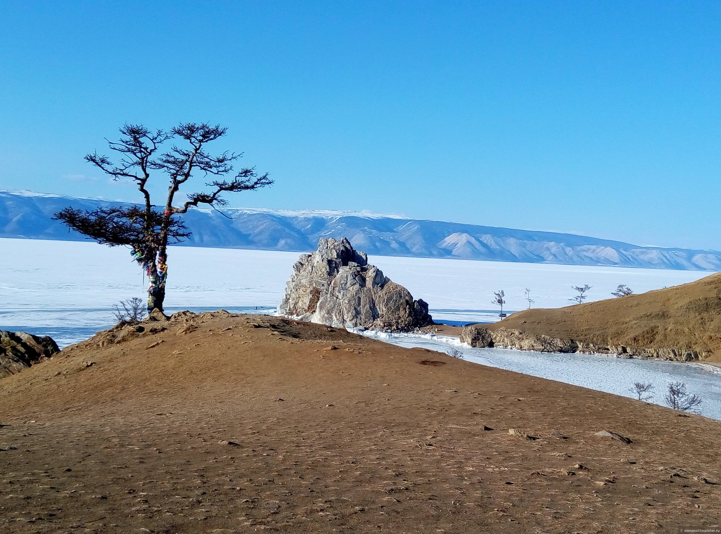 Байкал флора и фауна фото