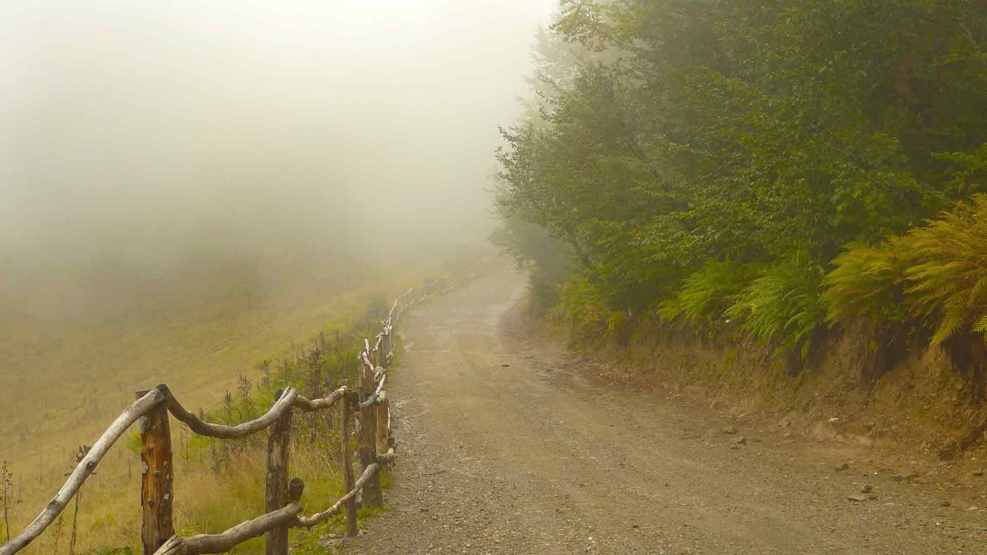 Американская дорога в тумане