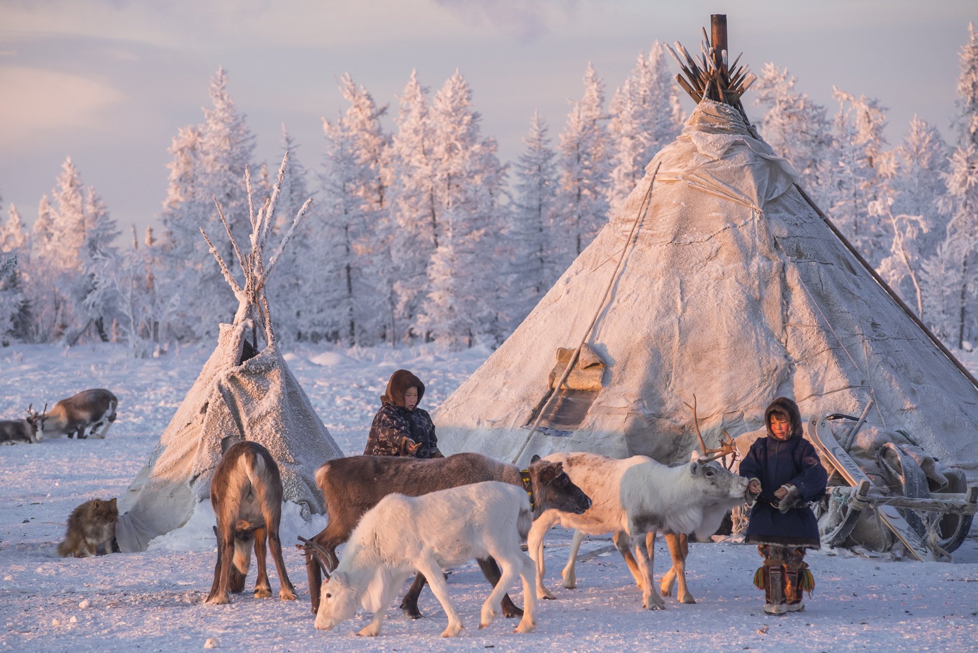 Чем основном занимаются коренные жители крайнего севера