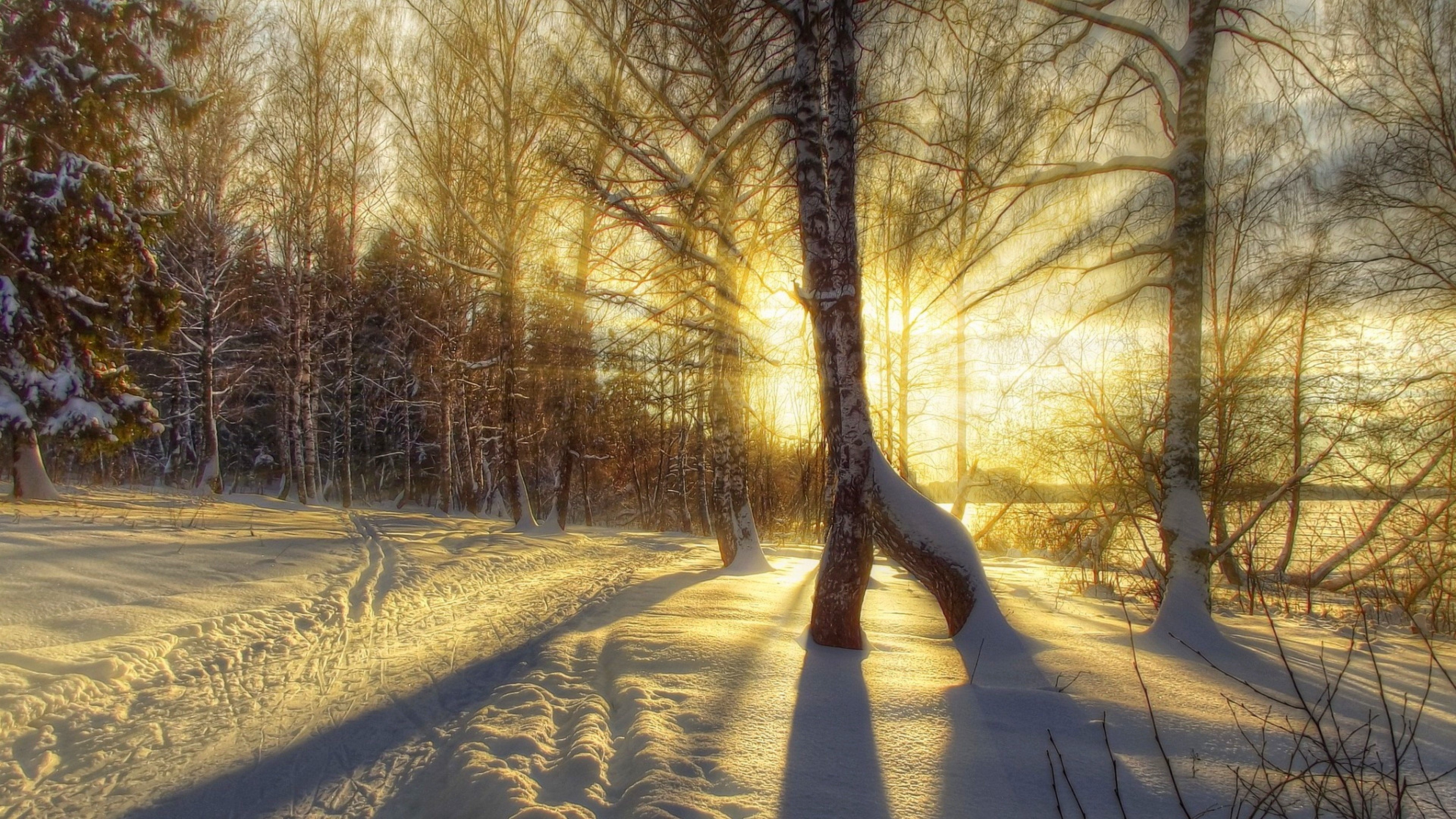 Зимнее утро дорога. Зимний лес. Зимний пейзаж. Зима солнце. Солнечный зимний день в лесу.