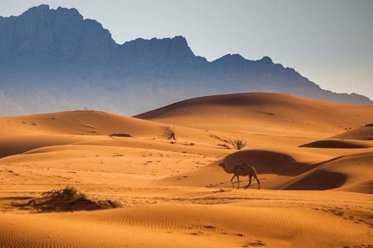 ОАЭ пустыня руб-Эль-Хали