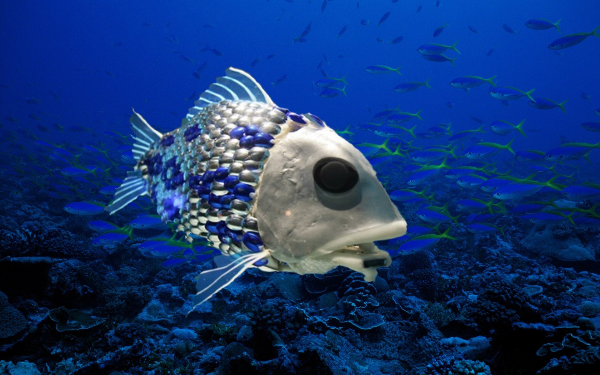 Сообщение удивительные обитатели океана. Рыбы в океане. Рыбы Тихого океана. Экзотические рыбы. Необычные рыбы.