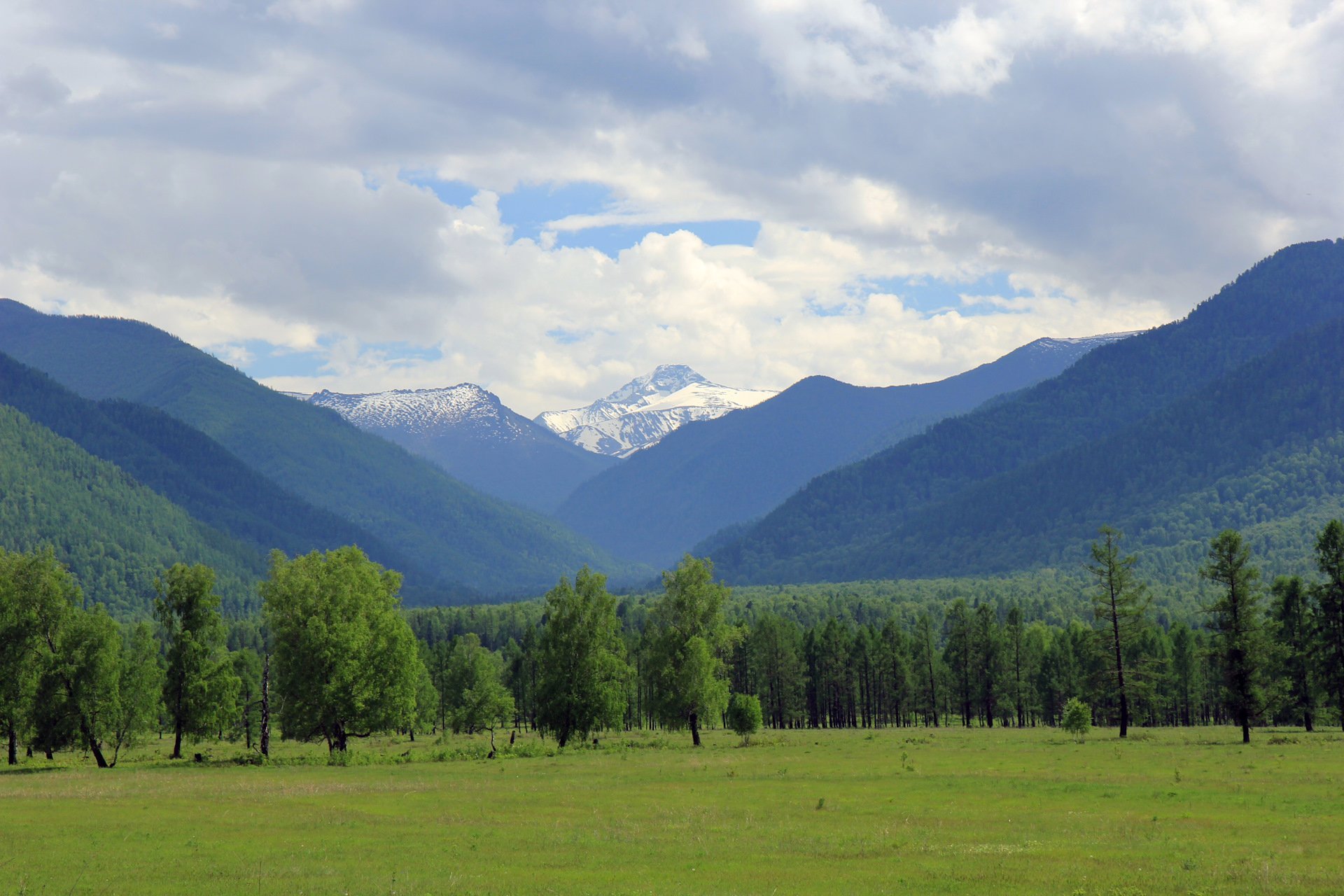 Республика алтай фото. Уймонская Долина Республика Алтай. Гора Шенелю горный Алтай. Уймонская Долина Белуха. Семинский перевал Уймонская Долина.