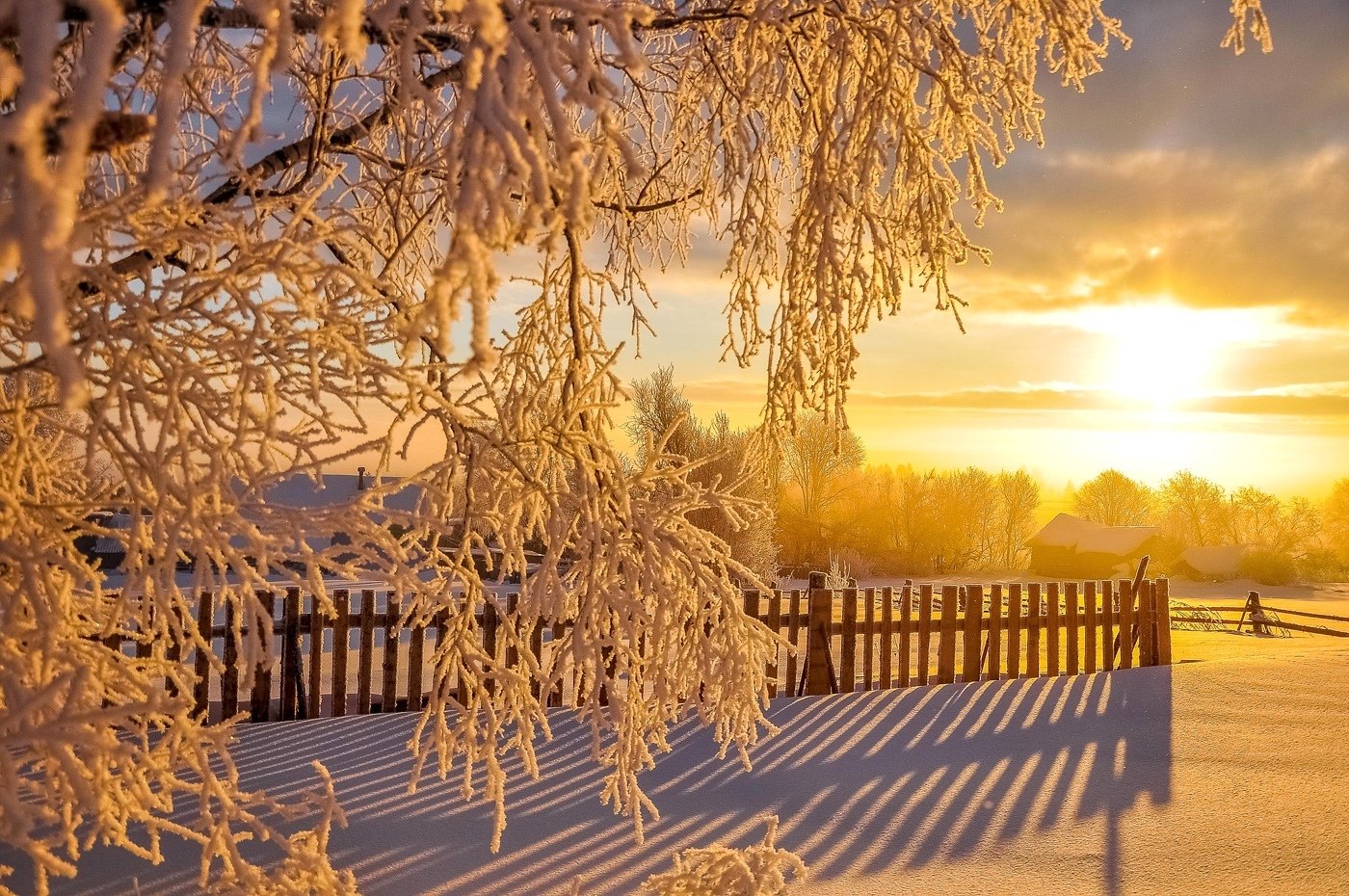 Утро природа февраль. Морозное солнечное утро. Солнечный зимний день в городе. Морозное утро в деревне. Зимнее утро.