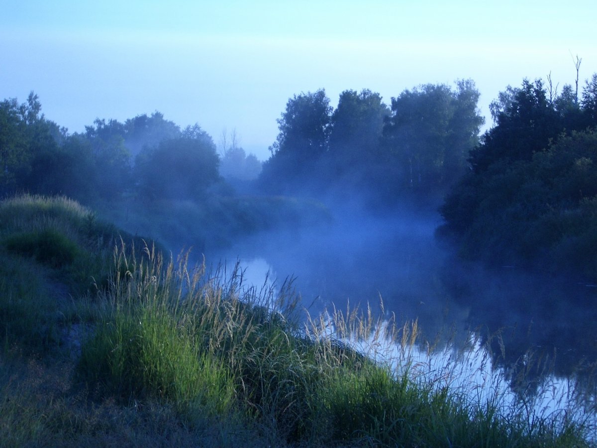 Вижу синюю реку. Туман стелется. Синий туман над рекой. Туман за рекой. Туман над рекой.
