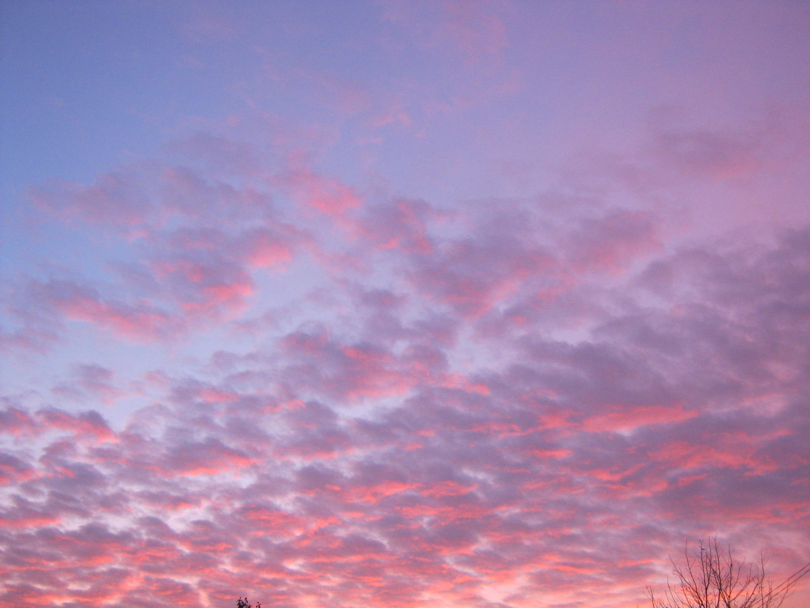 Небо становится розовым. Розовое небо. Розовое облако. Красивое небо. Небо закат.