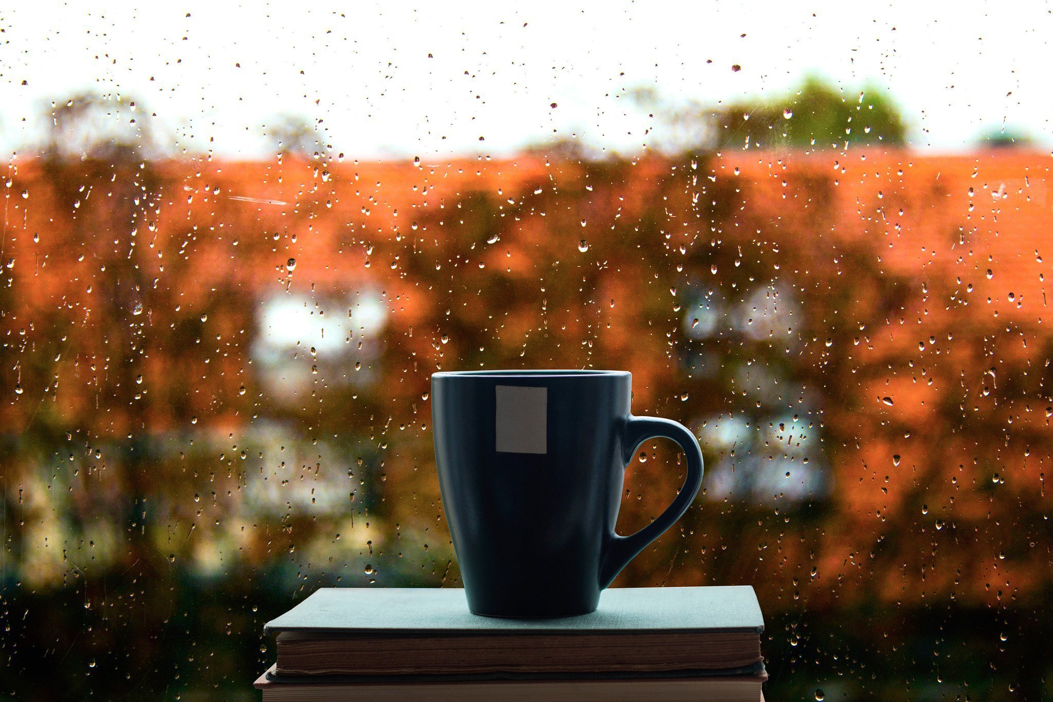 Если ночью дождь напролет утром ярче заря. Чашка на окне. Дождливое утро осени. Чашка кофе на окне. Дождь в окне.