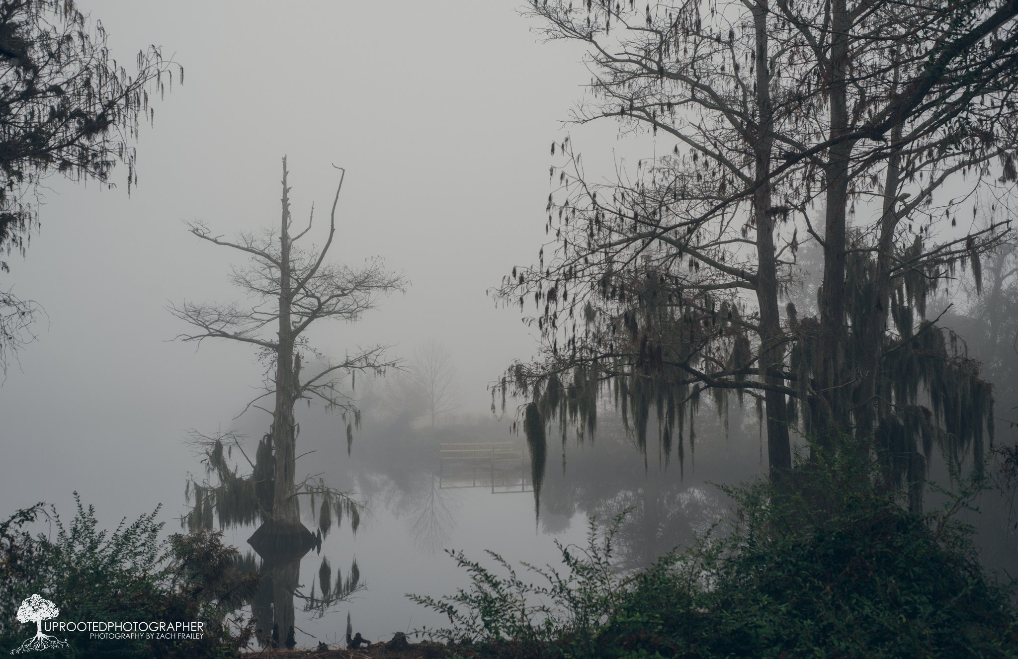 Болото призраков. Призраки болота Манчак. Луизиана болото Манчак. Новый Орлеан болота Манчак. Болота Манчак болота призраков.