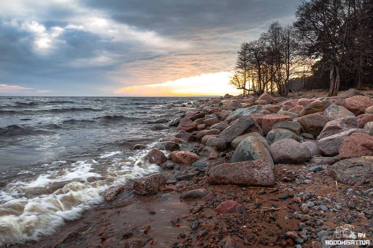 Финский залив балтийский берег. Берег Балтийского моря финский залив. Питер берег финского залива. Зеленогорск берег финского залива. Репино камни залив.