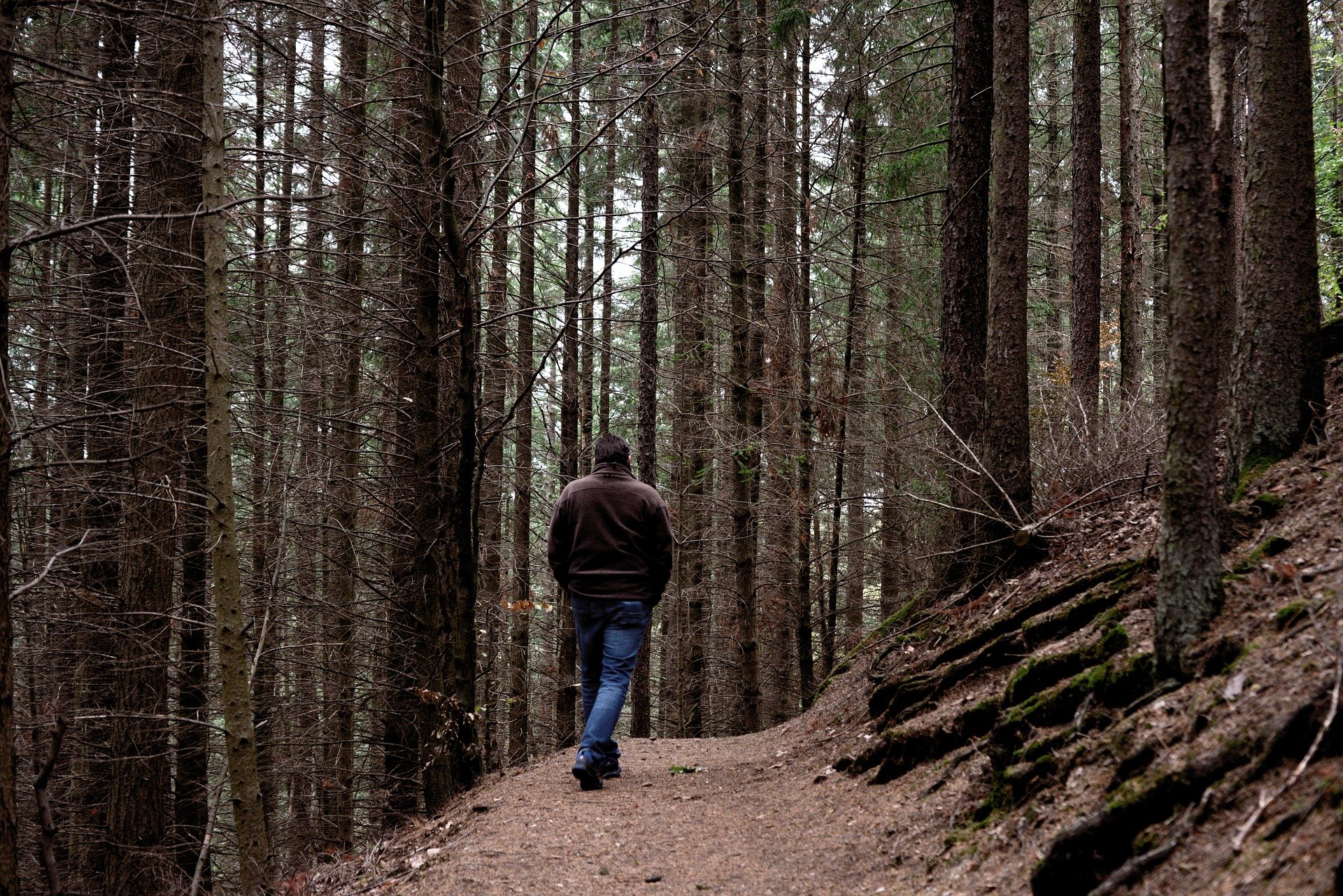 Бредешь в лесу. Человек в лесу. Человек идет в лесу. Прогулки по лесу. Фотосессия в лесу.