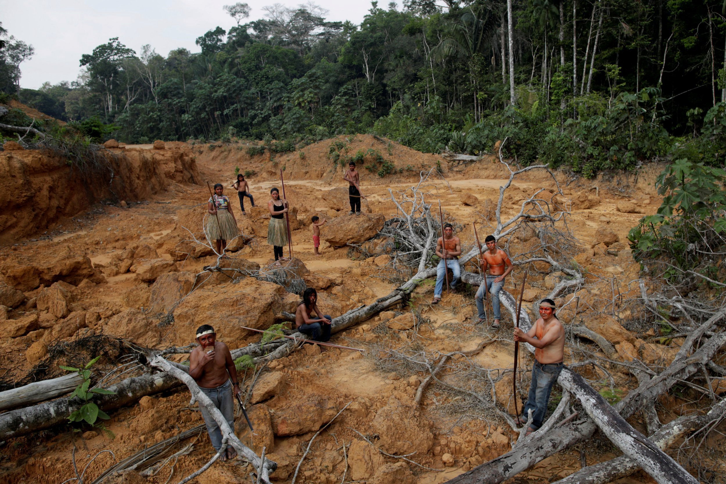 Проблема тропического леса. Обезлесение Бразилии. Вырубка тропических лесов Амазонии. Обезлесение Амазонка. Исчезающие тропические леса амазонки.