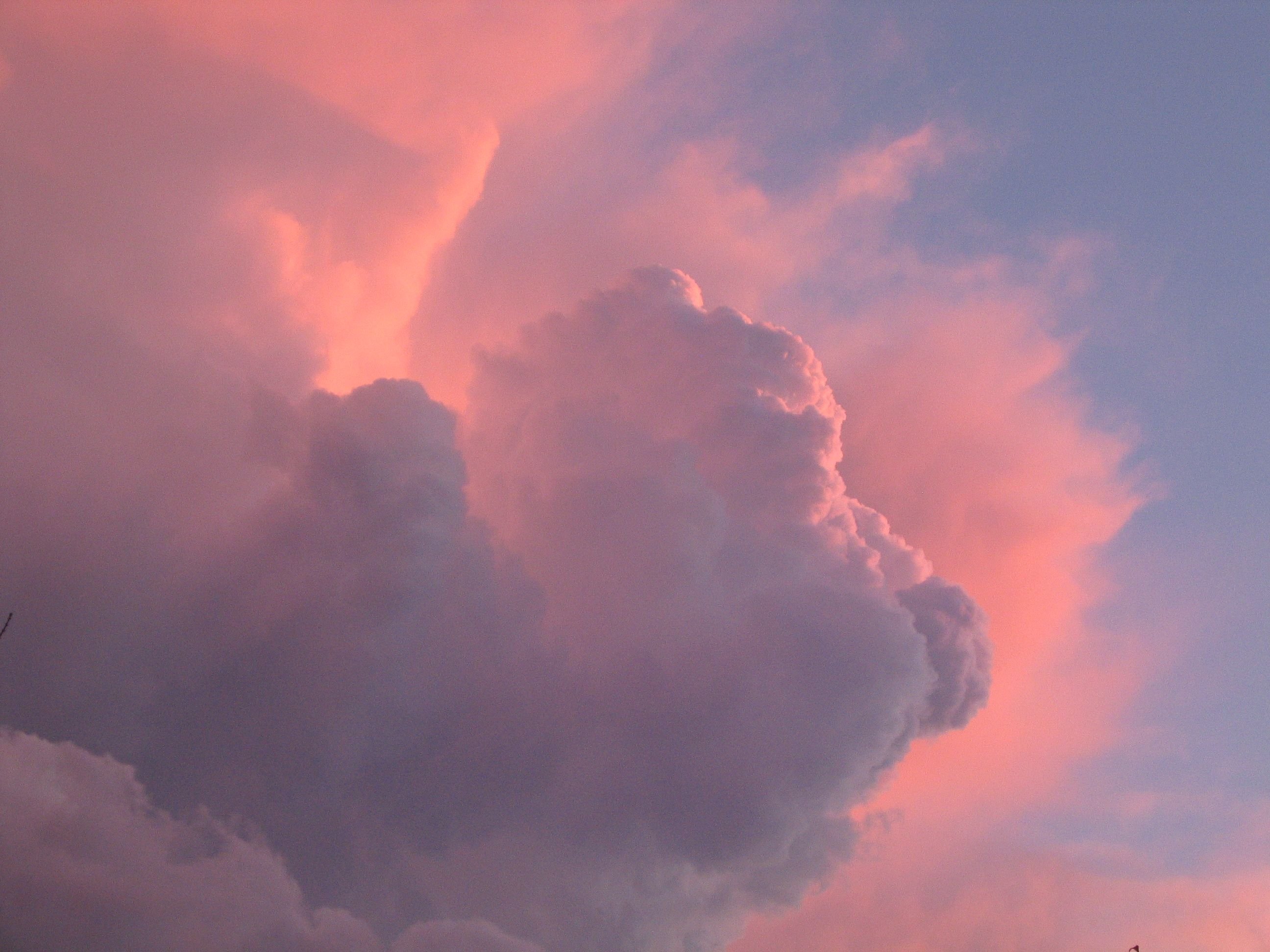 По бесконечно высокому нежному небосклону. Розовое облако. Розовое небо. Красивые облака. Облака Эстетика.