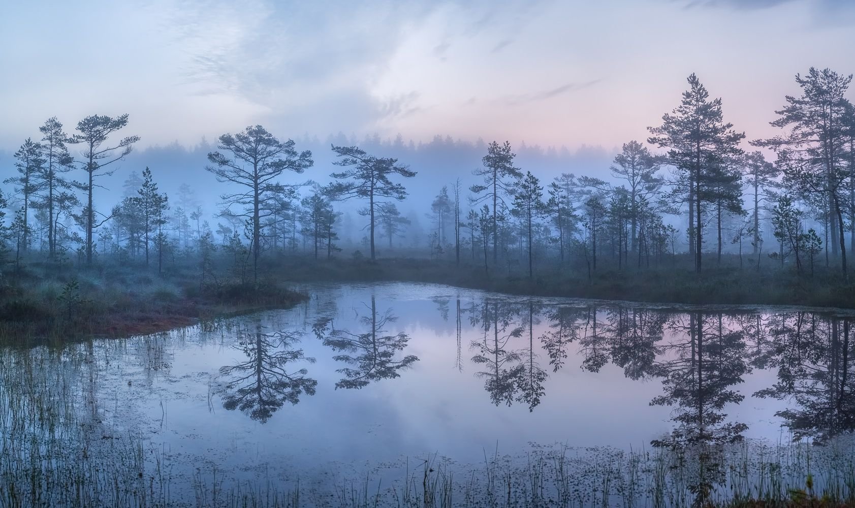 Туманное озеро Ленинградская Сосново