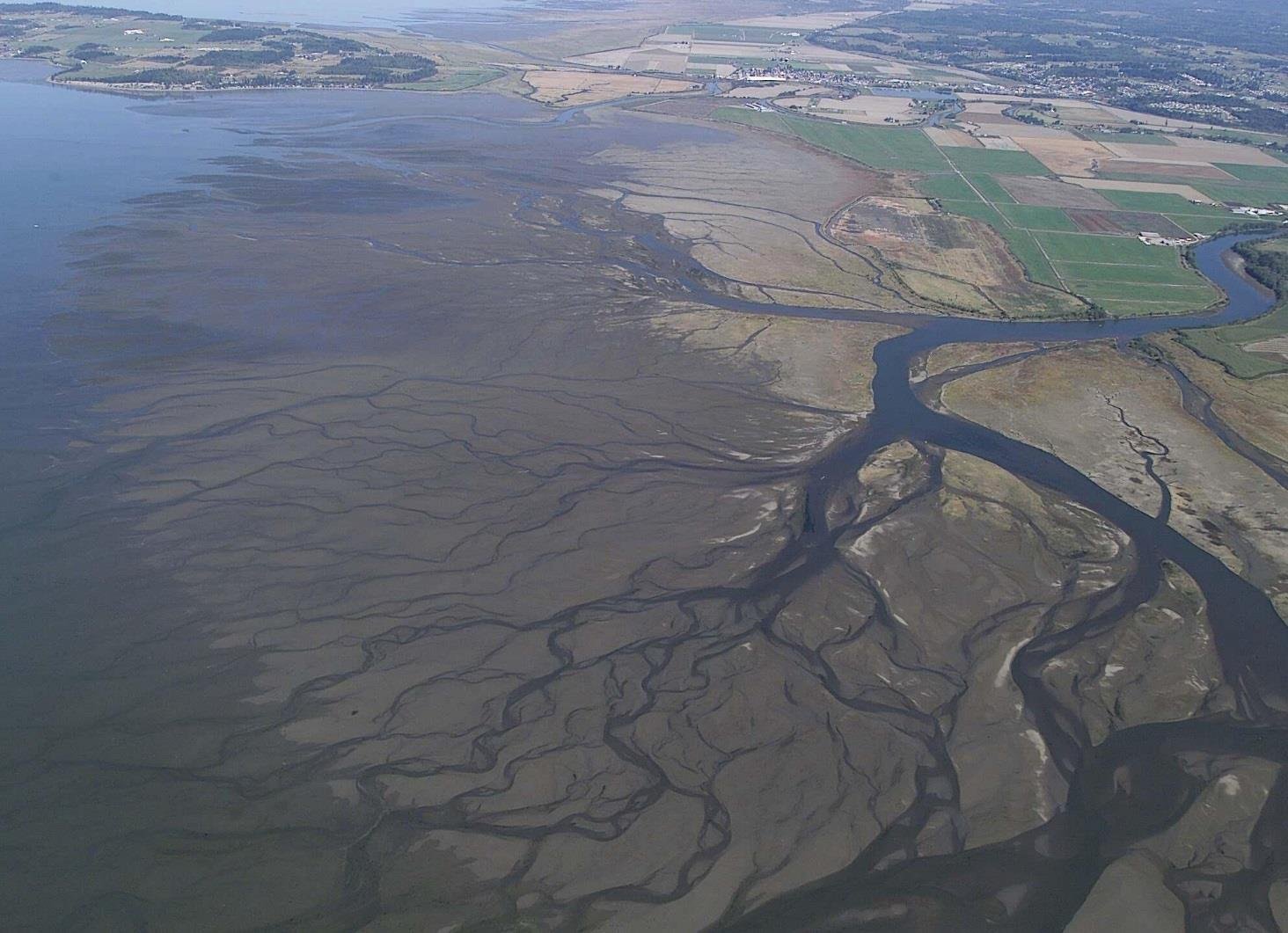 река впадает в море