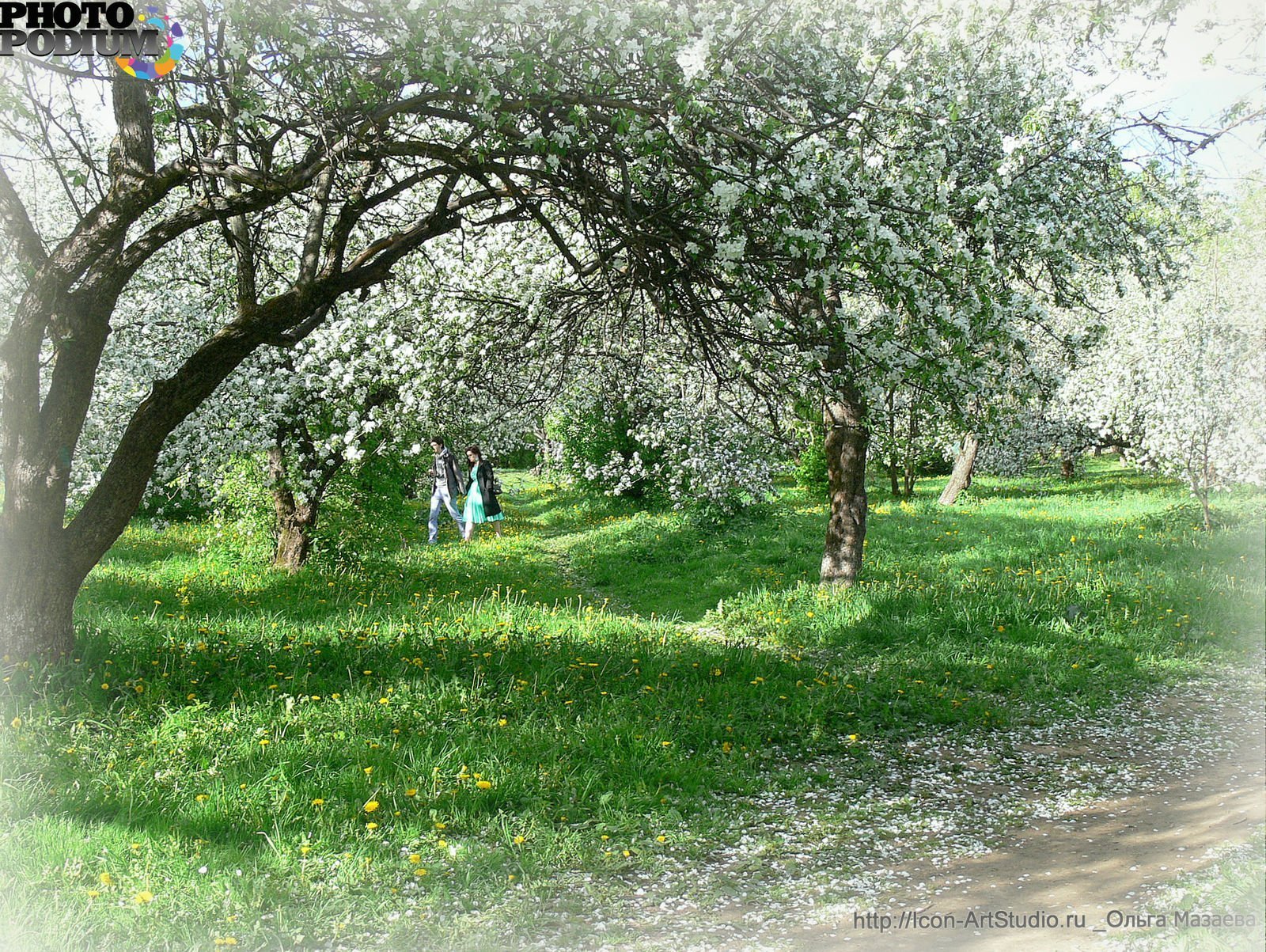 Деревня яблоня