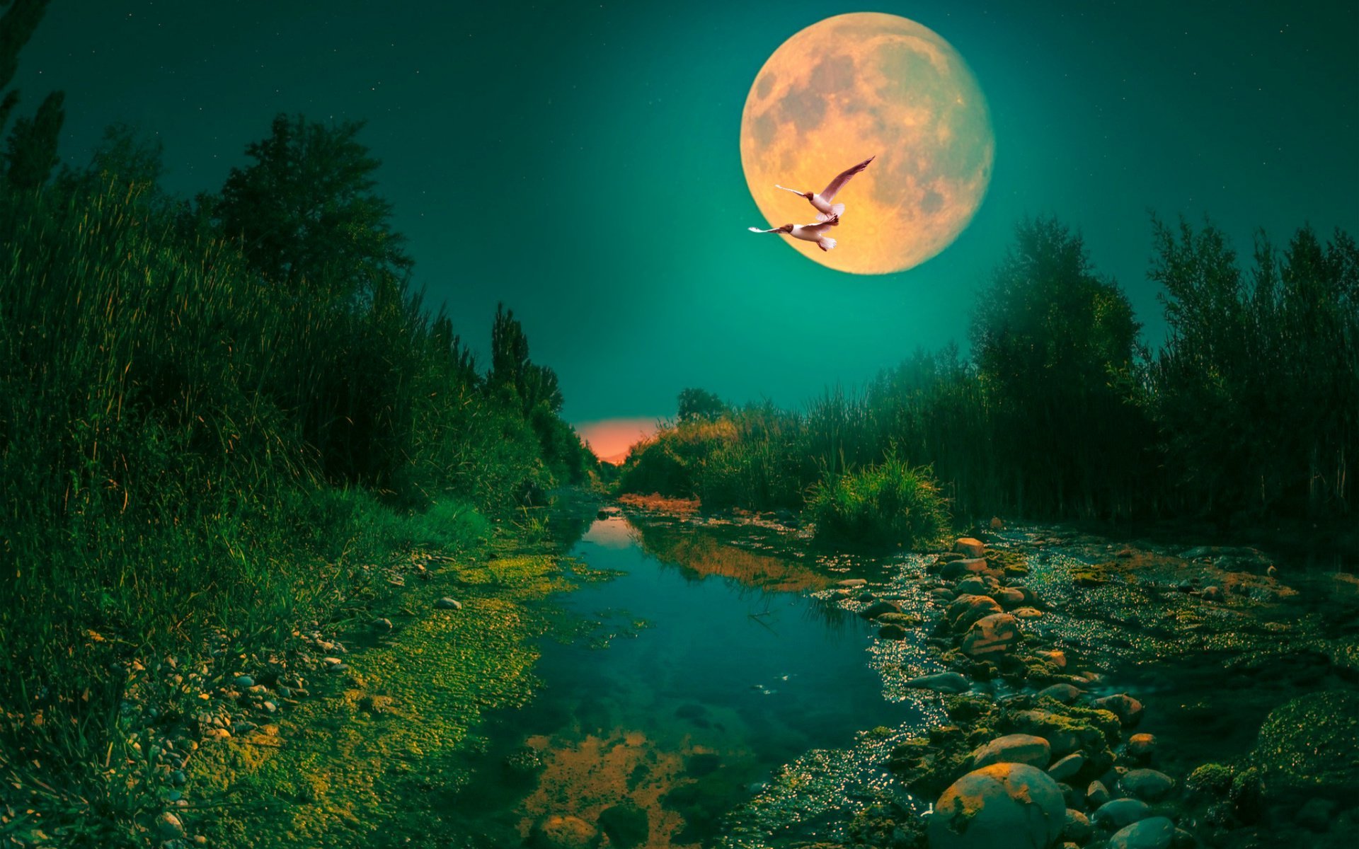 Природа летней ночью. Луна лес река. Лунная ночь. Пейзаж с луной. Ночь Луна река.