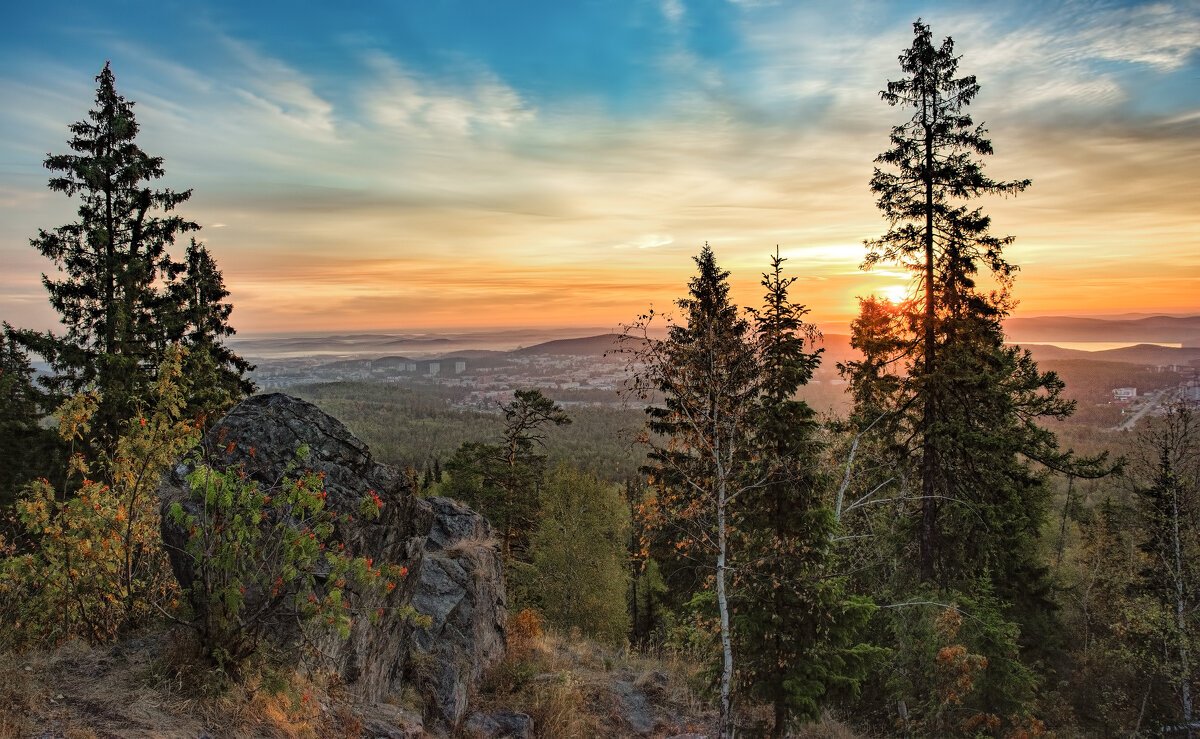 Рассвет в тайге фото