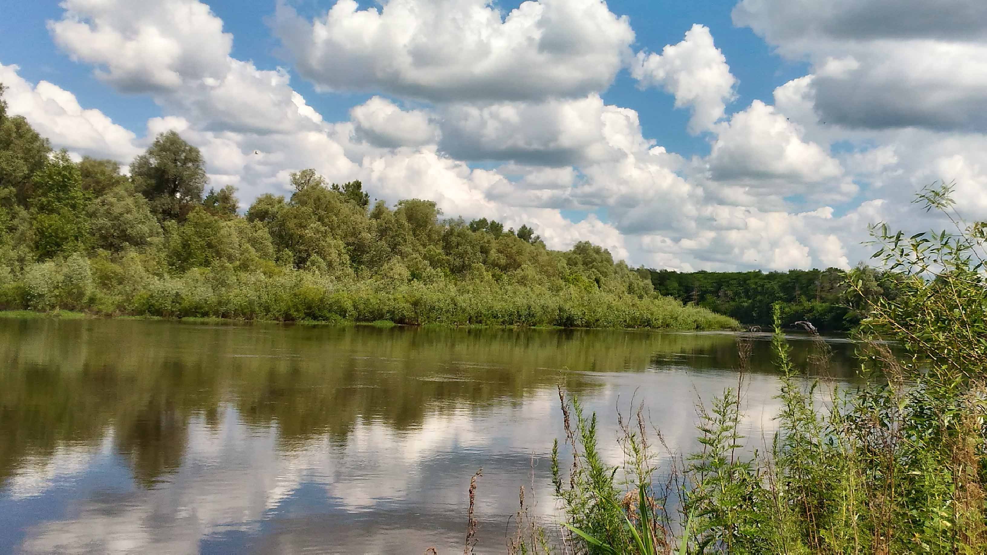 Хопер. Река Хопер Балашов. Урюпинск природа Хопер. Река Хопер Урюпинск. Река хопёр Волгоградская область.