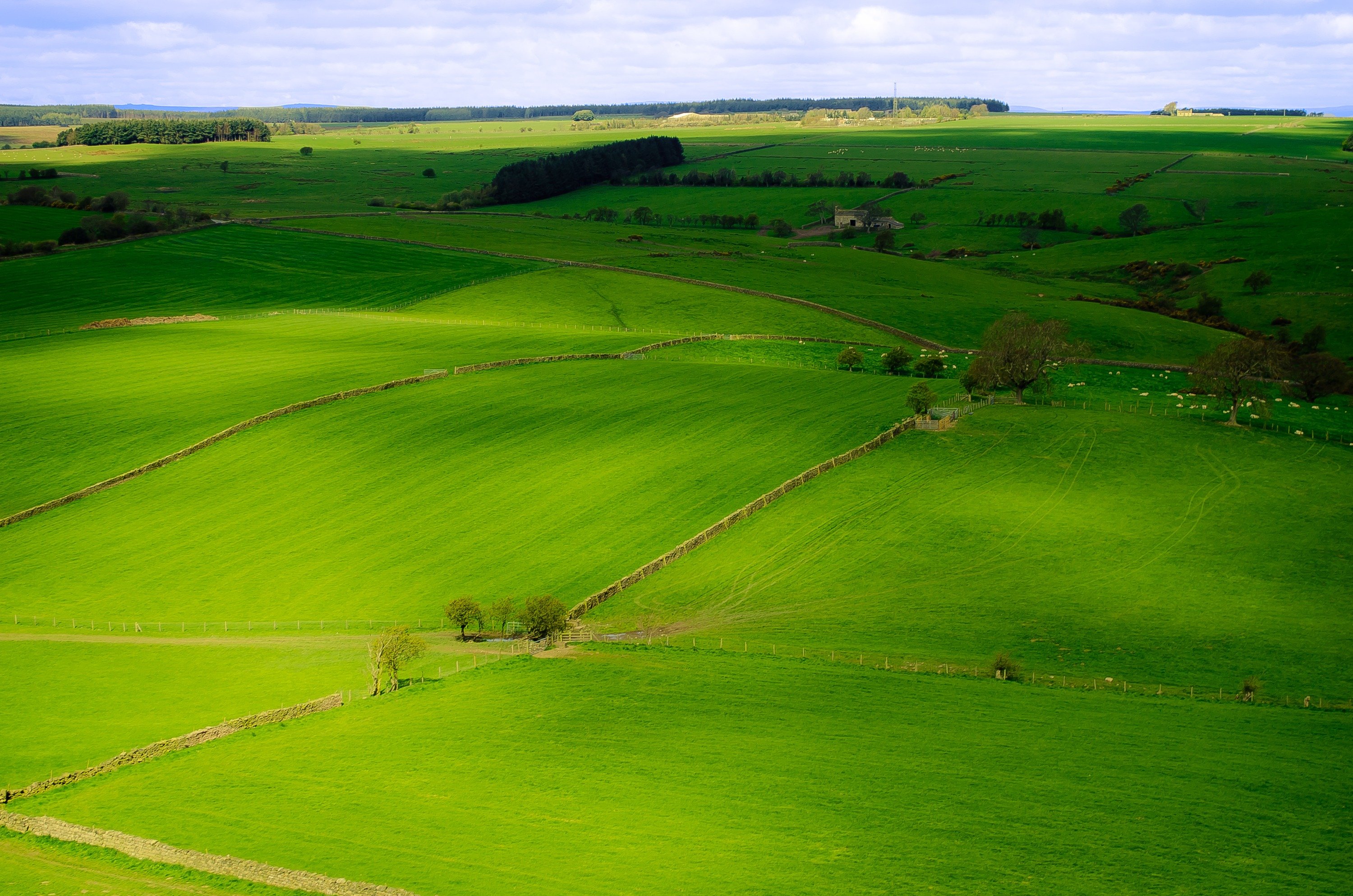 Самые известные равнины. Холмистые равнины Англии. Пейзажи Англии болотистые равнины. Зеленые холмы Англии. Центральная низменность Ирландия.